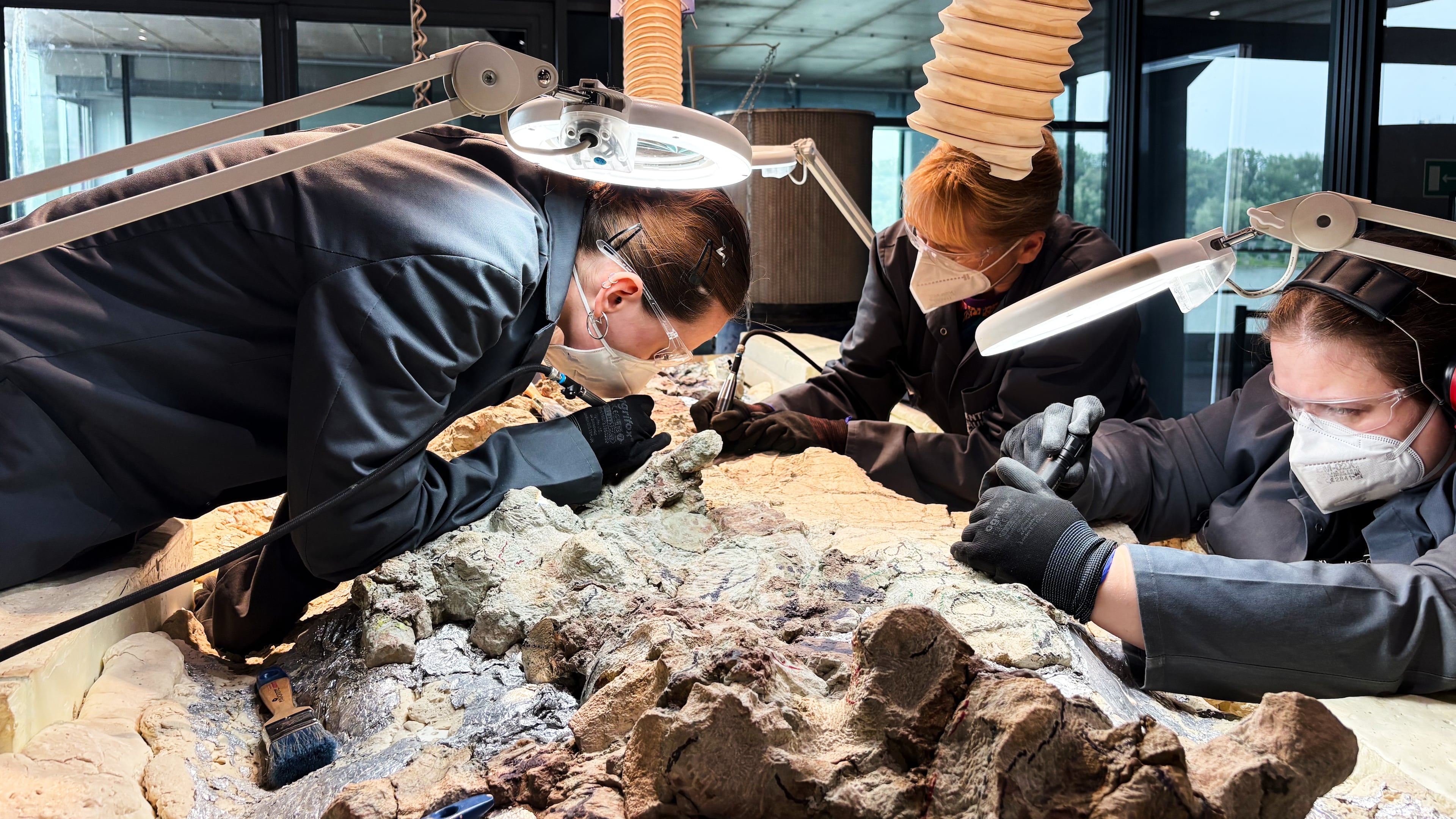 Under the watchful eye of scientists, volunteers clean the skeleton of a mastodonsaurus, a huge amphibian that walked the Earth 240 million years ago, at the Copernicus Science Center in Warsaw, Poland, Tuesday, July 21, 2026. (AP Photo/Claudia Ciobanu)