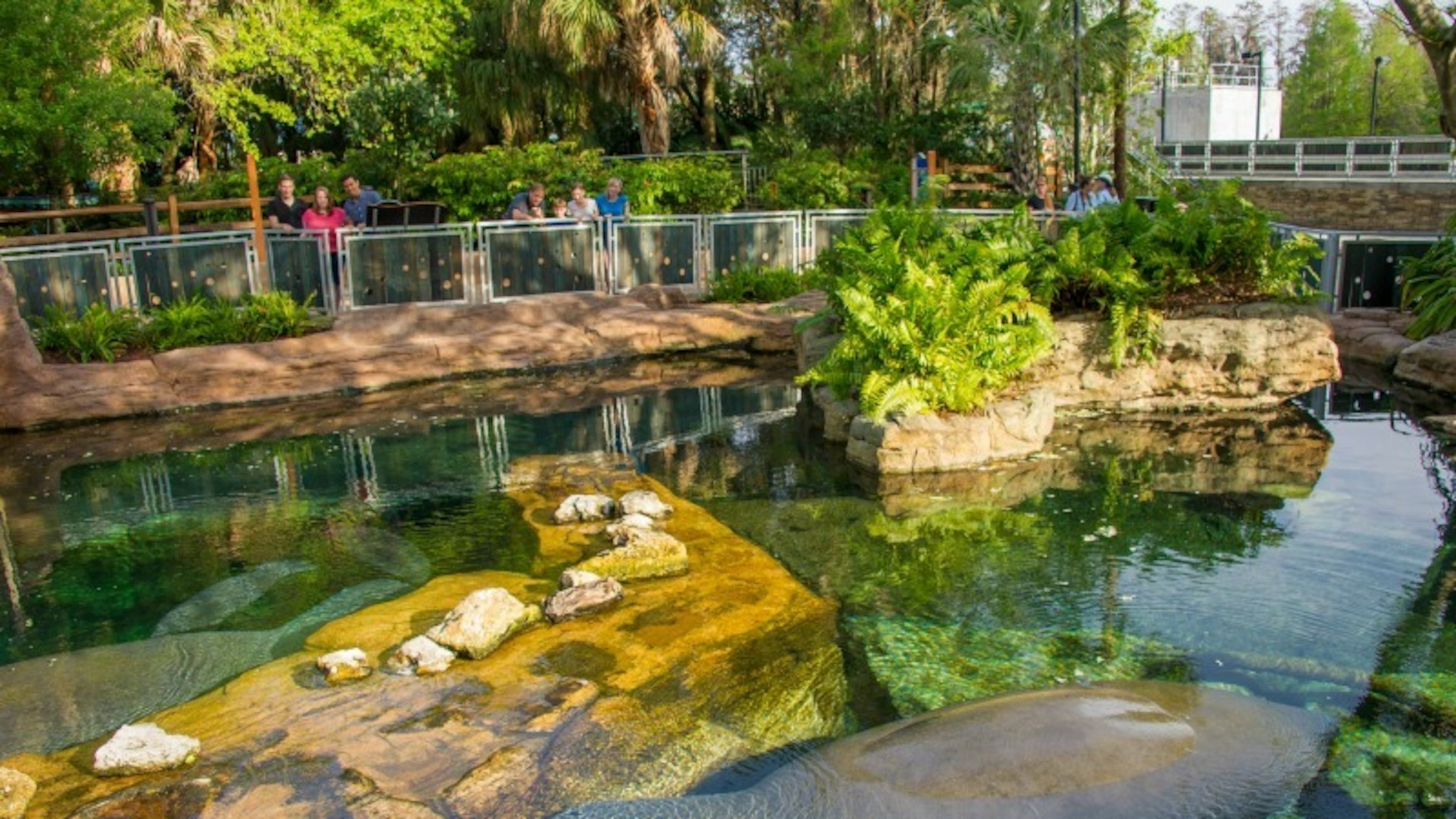 SeaWorld Orlando's Manatee Rehabilitation center