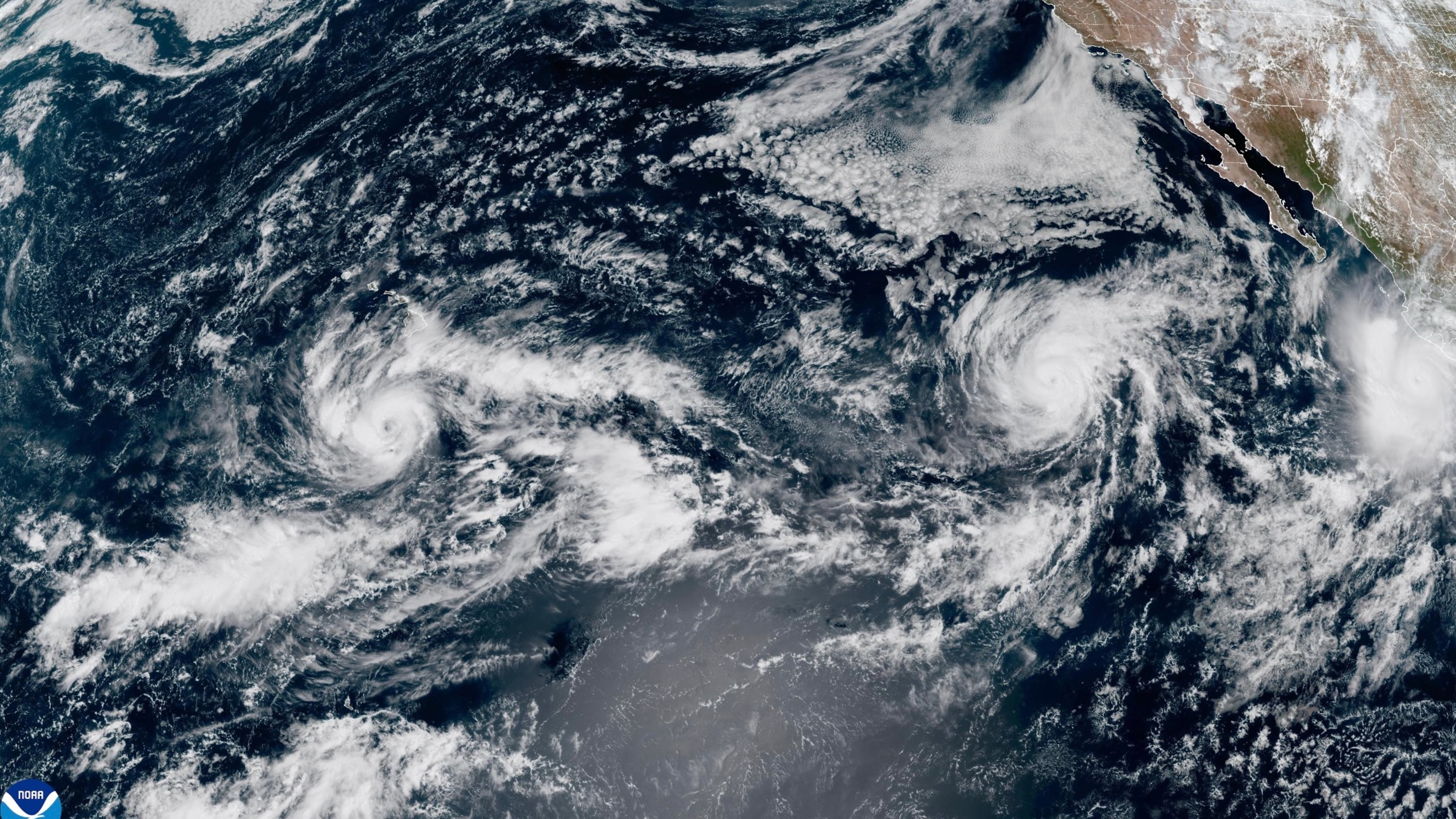 This satellite image provided by NOAA shows Tropical Storm Nolo, left, south of Hawaii; Hurricane Odalys, middle, and Hurricane Polo, right, off the coast of Mexico, in the Pacific Ocean on Thursday, Sept. 24, 2026. (NOAA via AP)