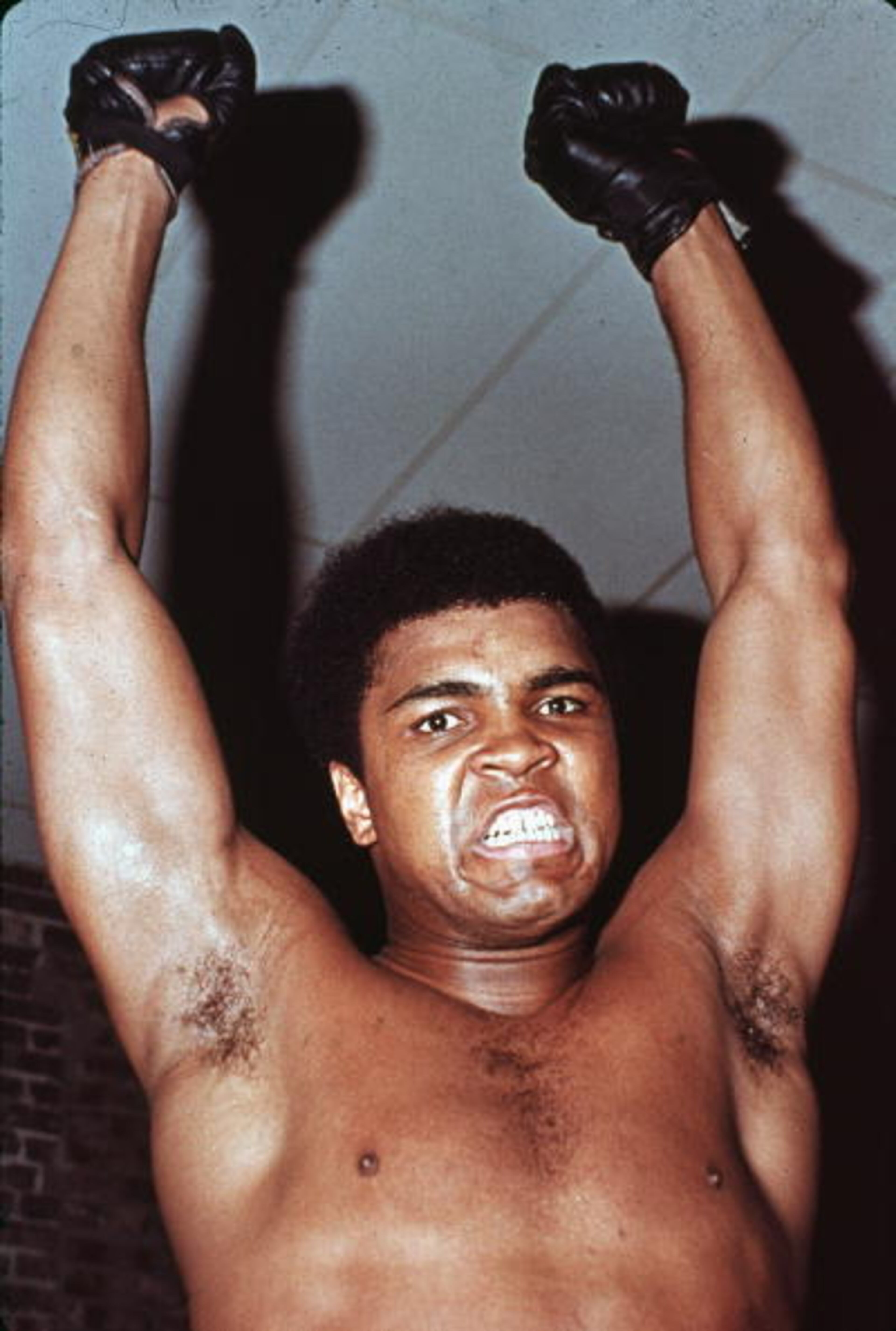 Portrait of American boxer Cassius Clay (who changed his name to Muhammad Ali in 1964) as he raises his fists above his head and growls fiercely, early 1960s. (Photo by Hulton Archive/Getty Images)