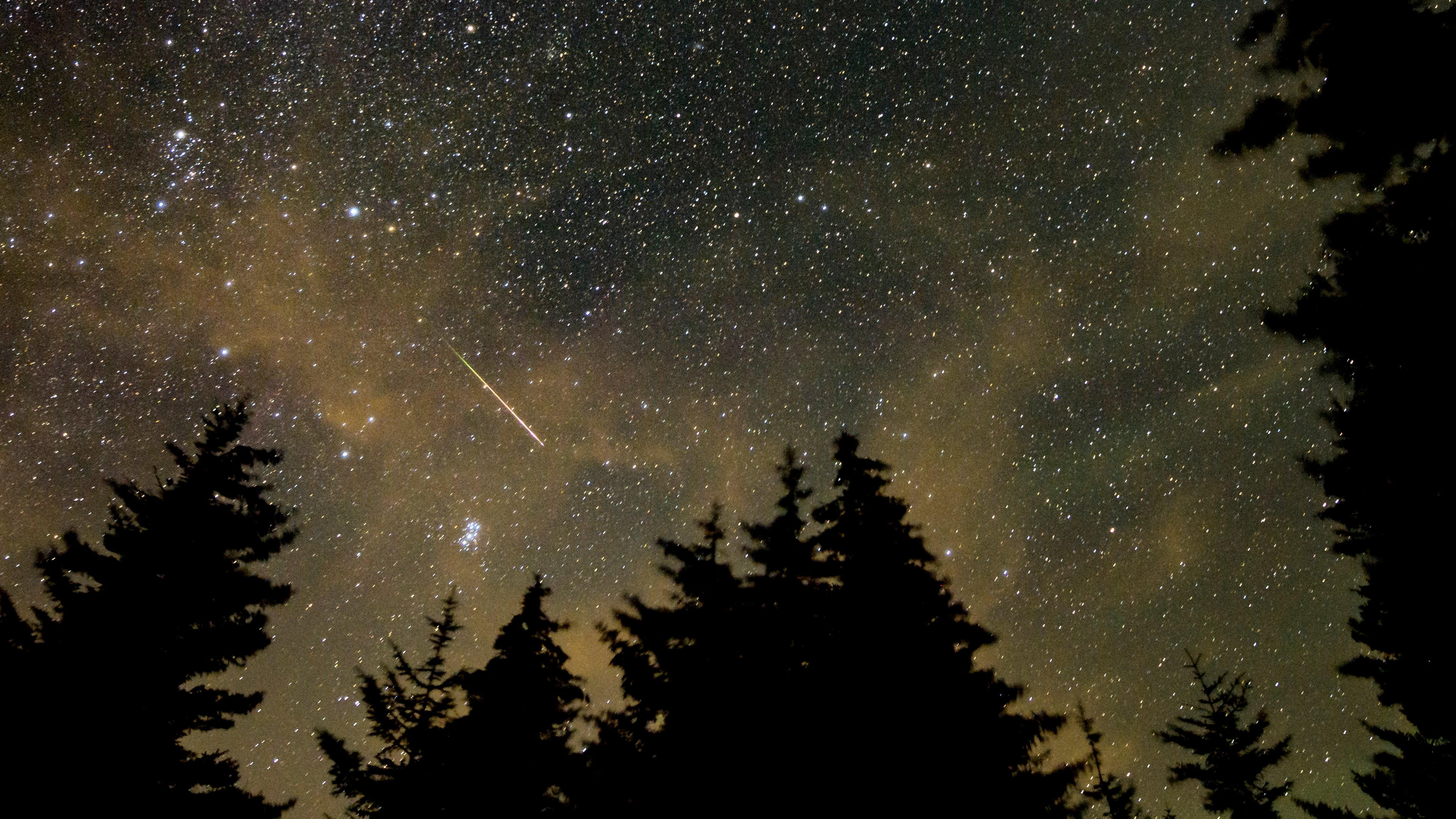 A meteor streaks across the sky during the annual Perseid meteor shower, in Spruce Knob, West Virginia. (Bill Ingalls/NASA via AP 2021)