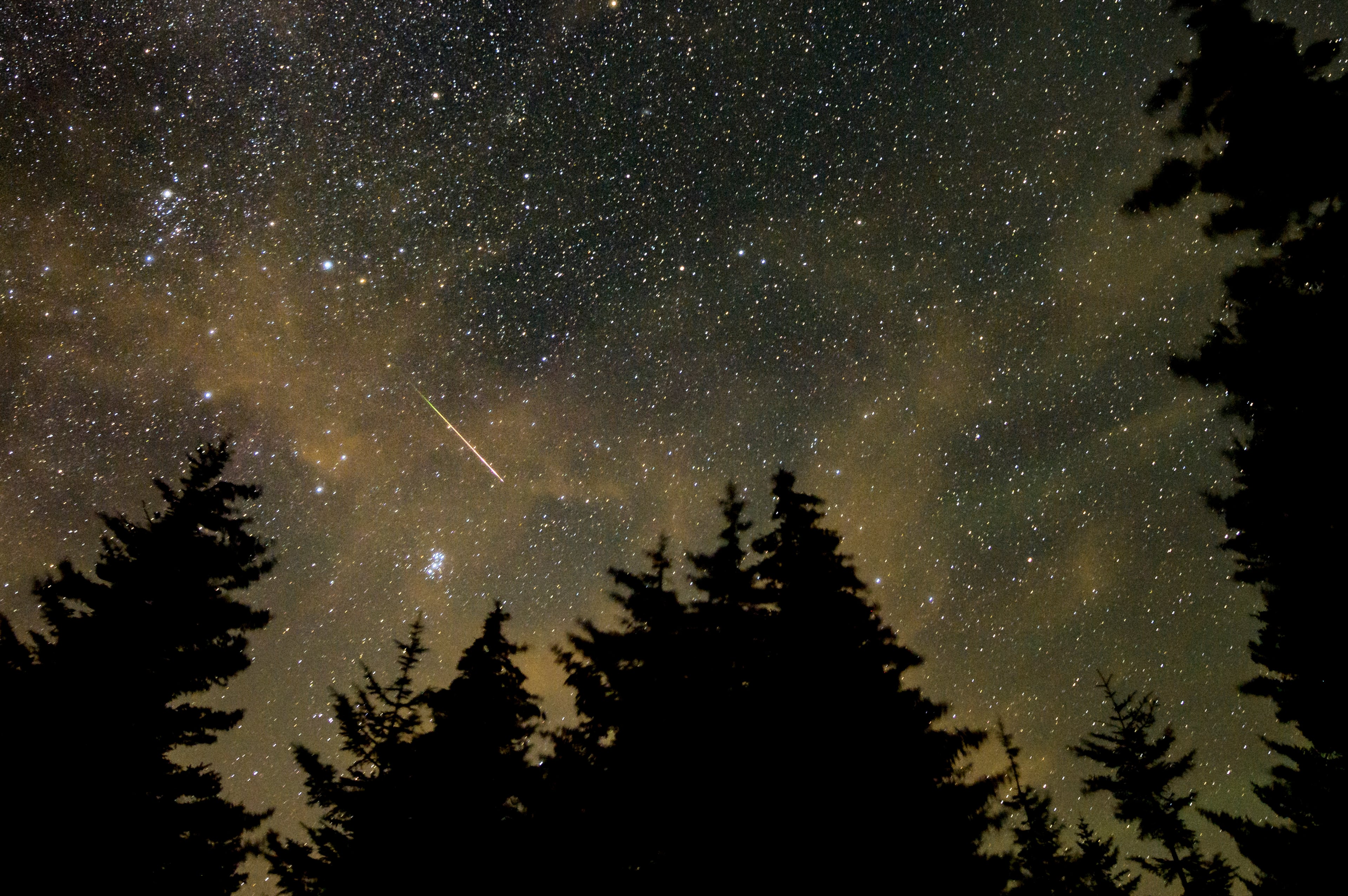 A meteor streaks across the sky during the annual Perseid meteor shower, in Spruce Knob, West Virginia. (Bill Ingalls/NASA via AP 2021)