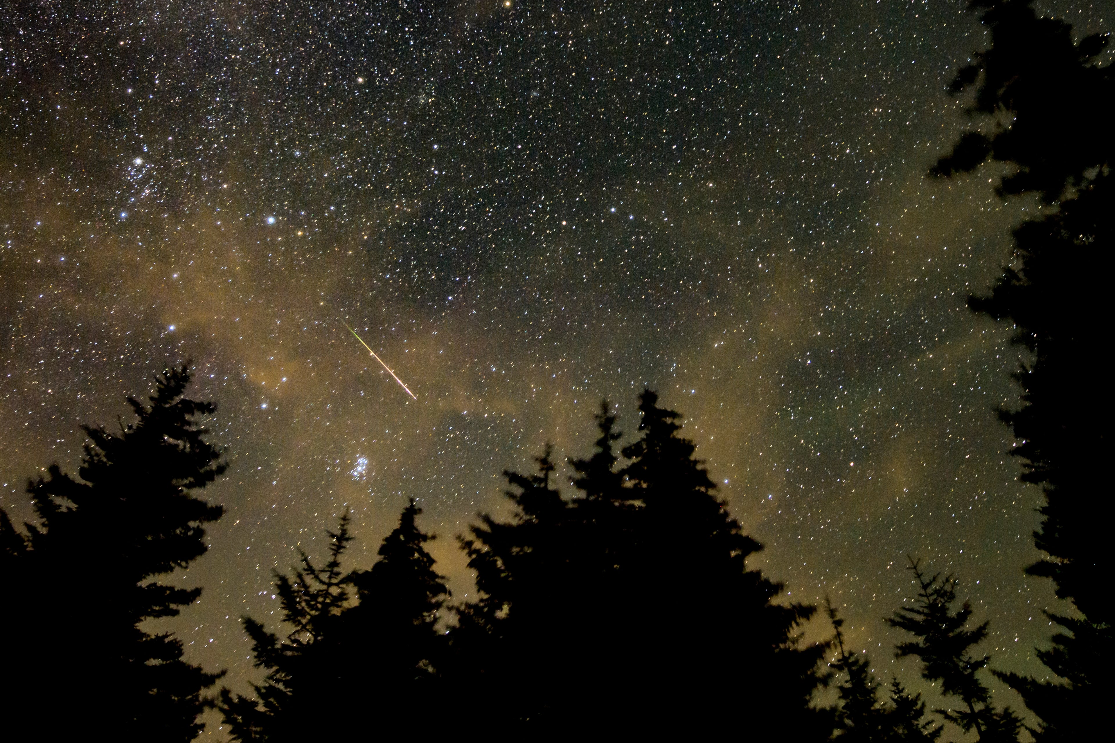 A meteor streaks across the sky during the annual Perseid meteor shower, in Spruce Knob, West Virginia. (Bill Ingalls/NASA via AP 2021)