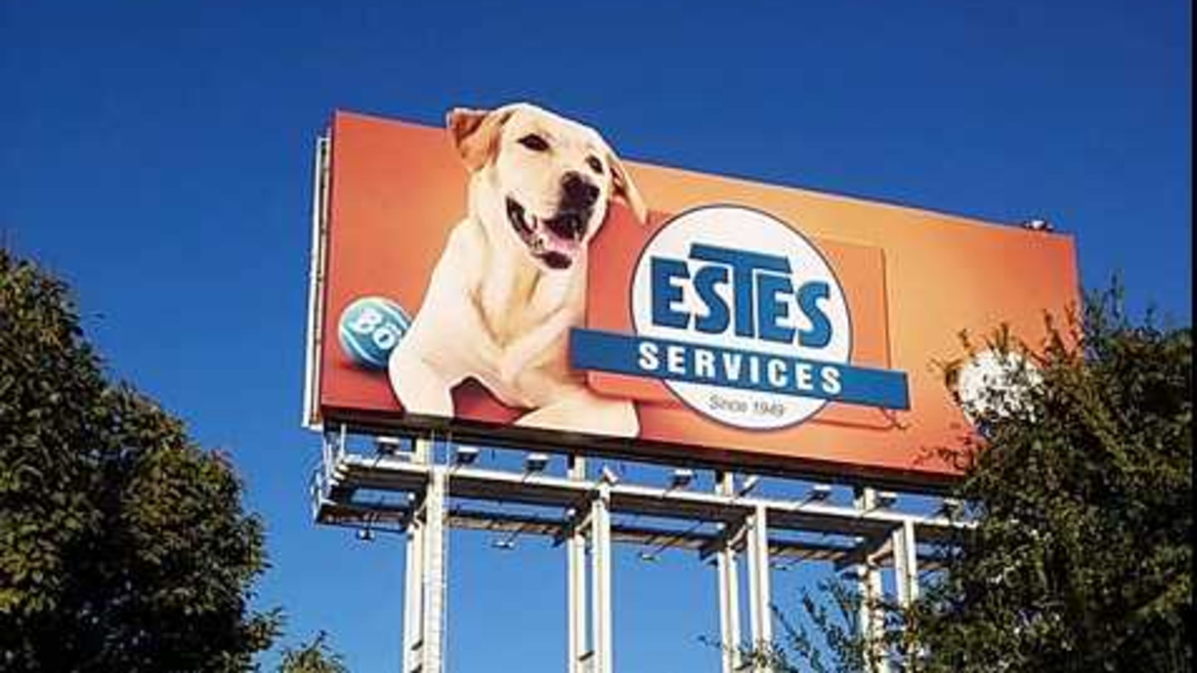 Bo, a yellow lab featured on an Estes Services billboard alongside I-85 in Buckhead, has become something of an icon.