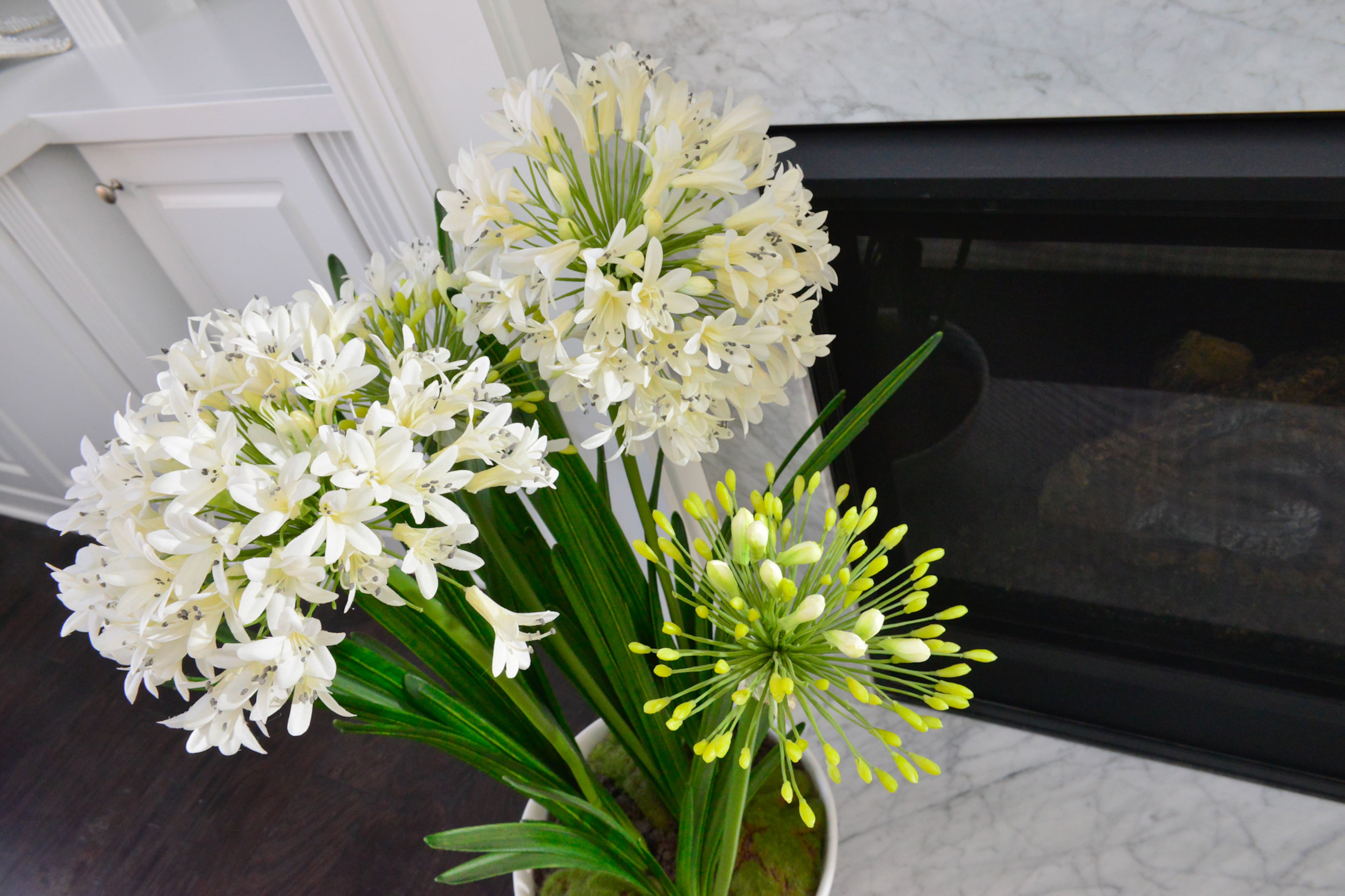 Potted plants are found throughout Johnny Carino and Austin Williams Carino's Sandy Springs townhome, and they pop when set against white and gray backgrounds, such as the fireplace and white built-in bookcases in the living room.