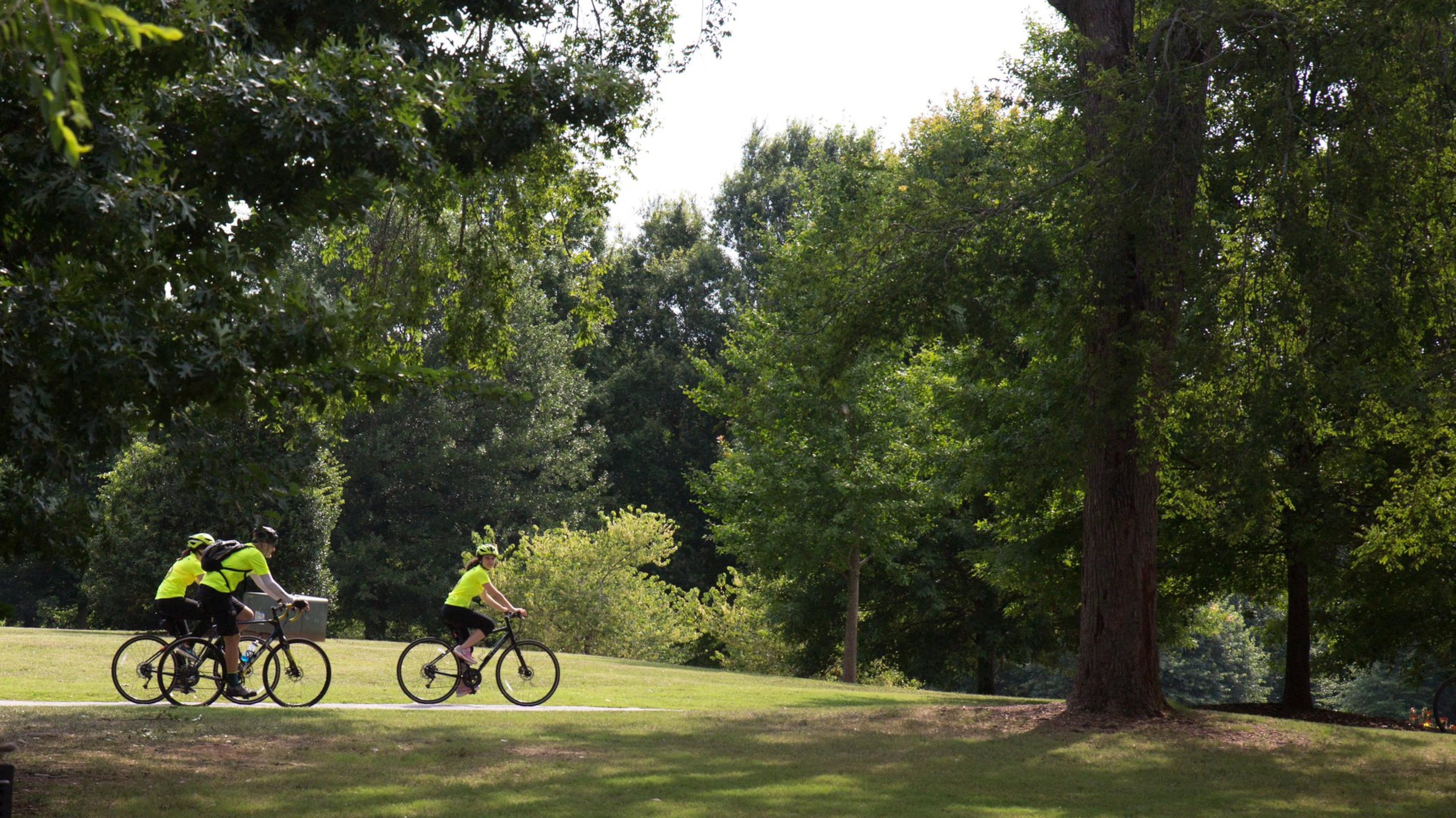 A group from the Westin Peachtree Plaza takes in Piedmont Park during a bike ride through Atlanta on June 22. The Westin Peachtree Plaza is launching a bike concierge that will be offered to hotel guests as a way of staying in shape. BRANDEN CAMP/SPECIAL
