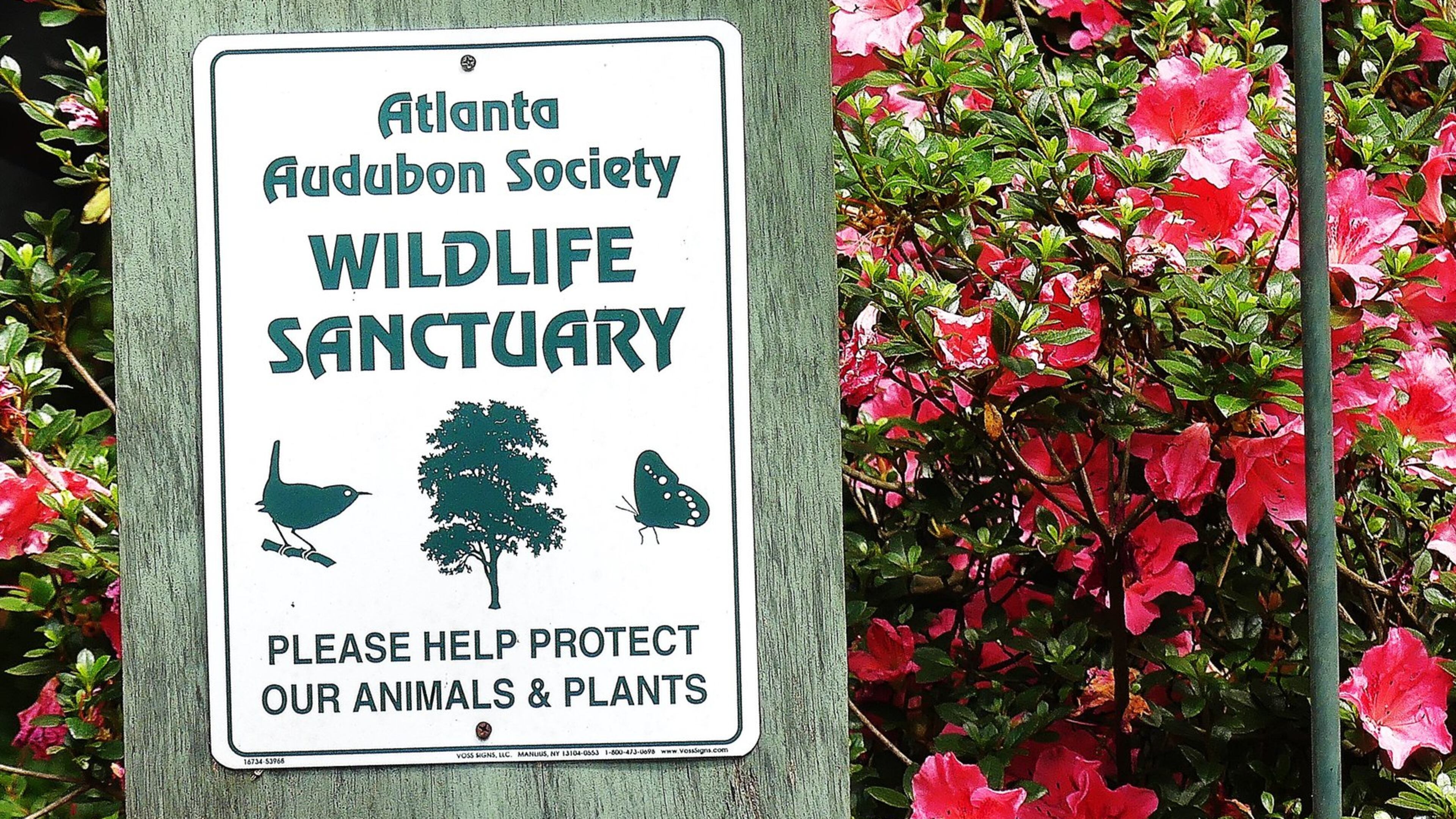 If your yard meets certain basic requirements for bird-friendly habitat, it could be certified by the Atlanta Audubon Society as a Wildlife Sanctuary. The society also would award you one of these signs to display in your yard. CHARLES SEABROOK