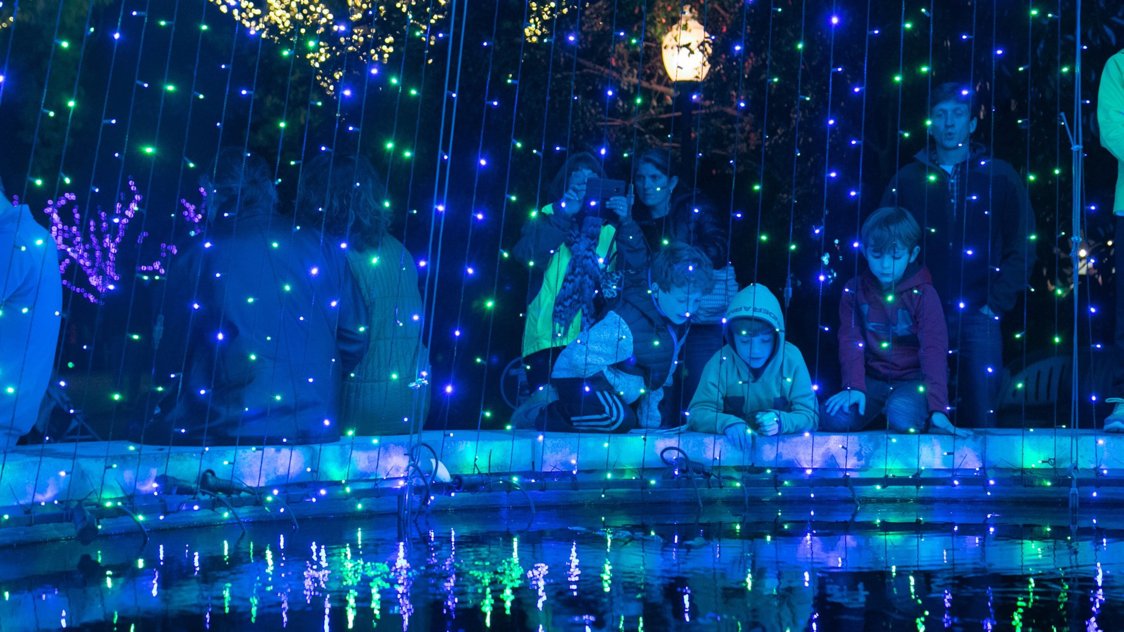 File photo of Atlanta Botanical Garden’s Garden Lights, Holiday Nights