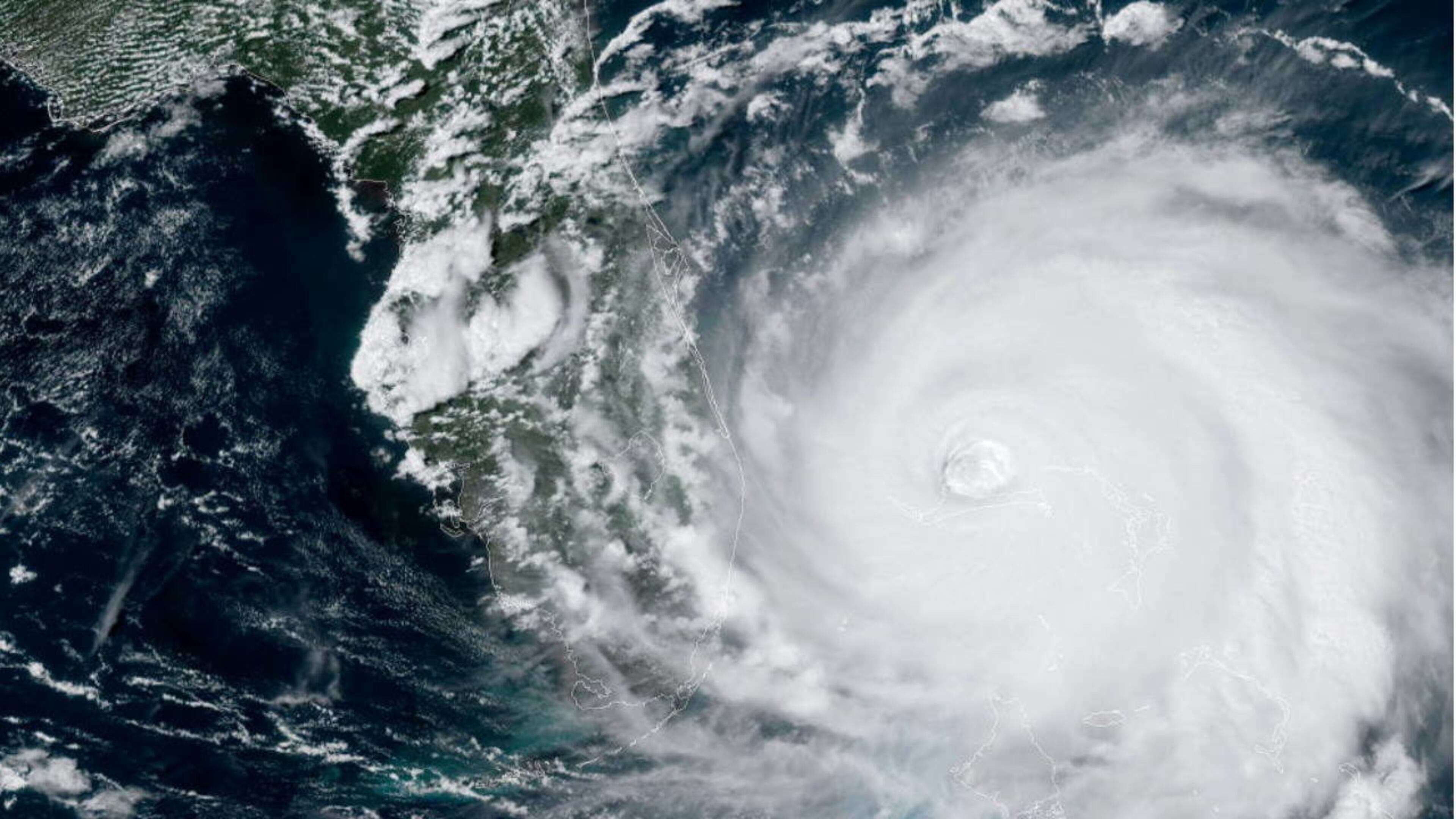 As Hurricane Dorian smashed into the Bahamas, scammers created a fake profile of a Florida meteorologist to solicit donations.