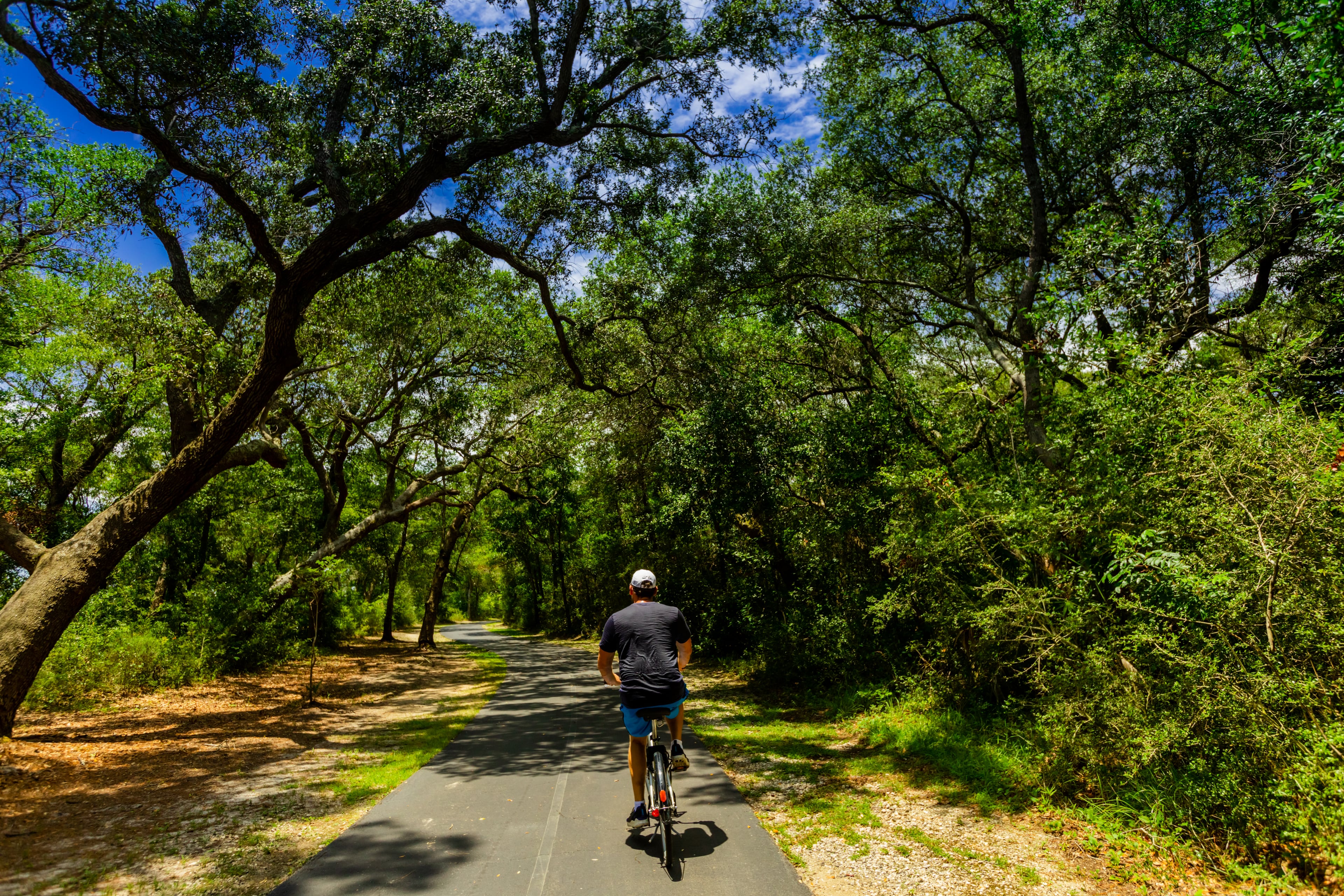 Whether you like to walk, run or bike, the Hugh S. Branyon Backcountry Trail in Gulf State Park is a must-see when visiting Gulf Shores and Orange Beach.