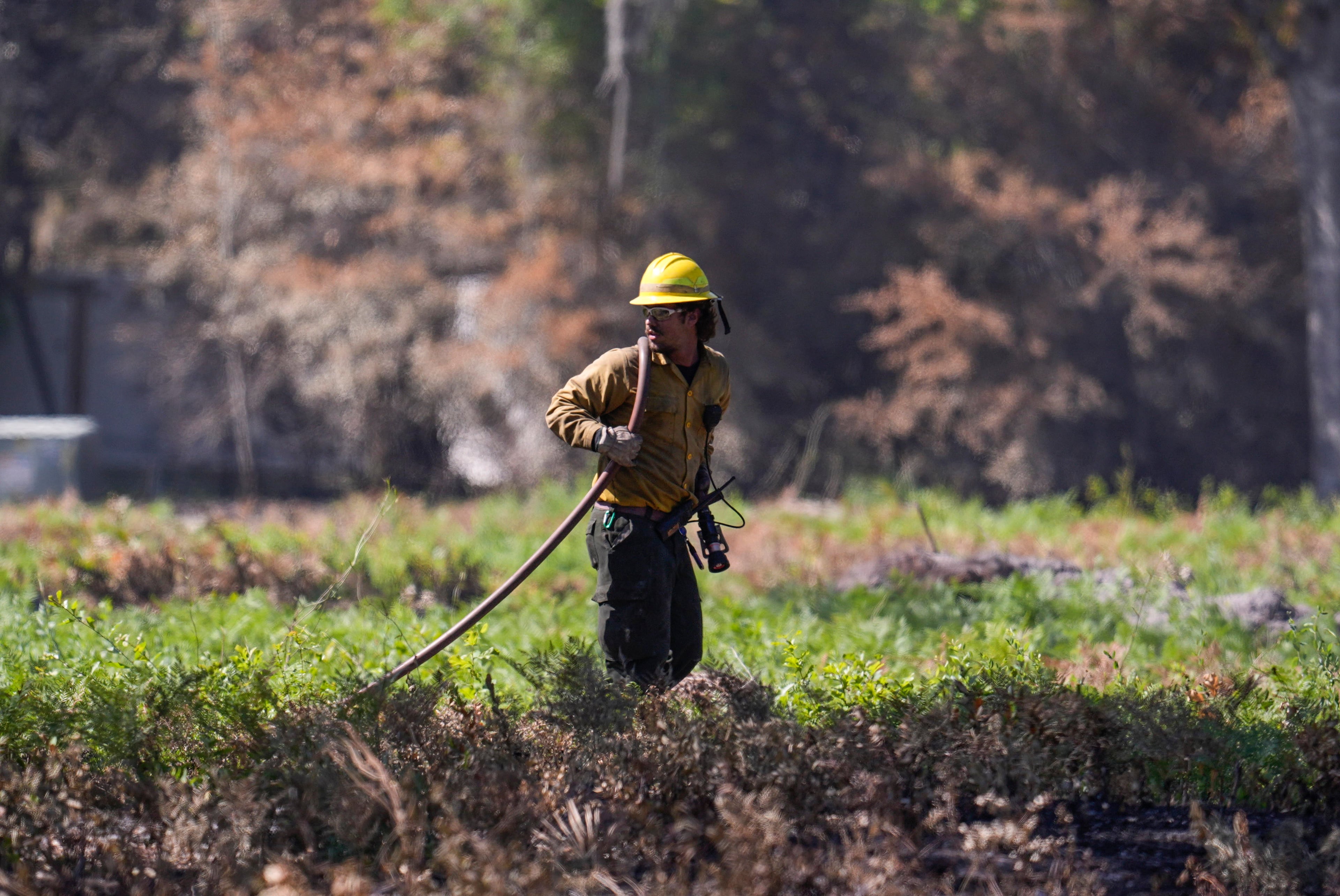 A firefighter works the Brantley Highway 82 fire on Thursday, April 23, 2026, near Nahunta. (Mike Stewart/AP)