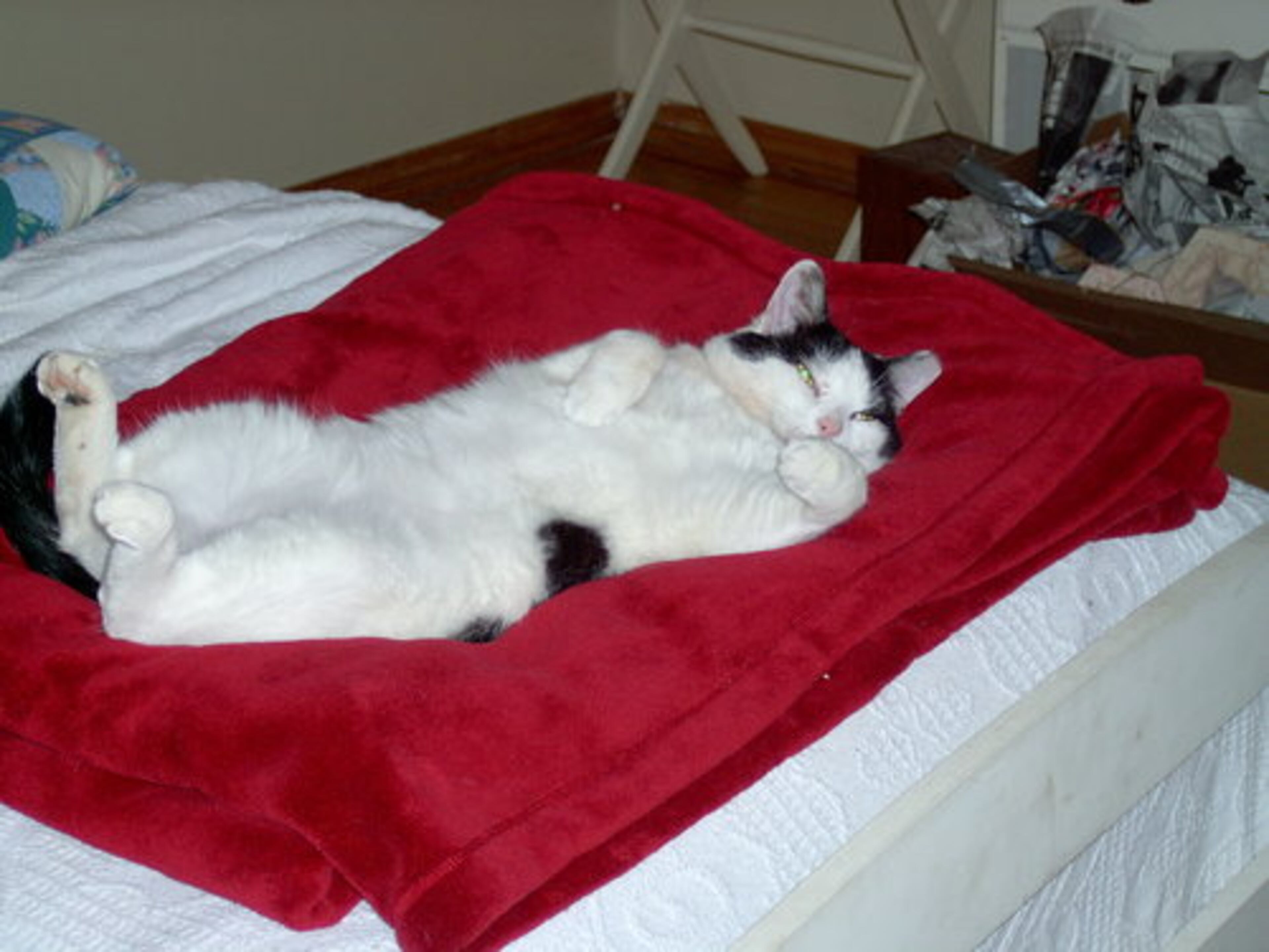 50 Cent prefers his red blanket and the air conditioning to the hot Georgia summer!