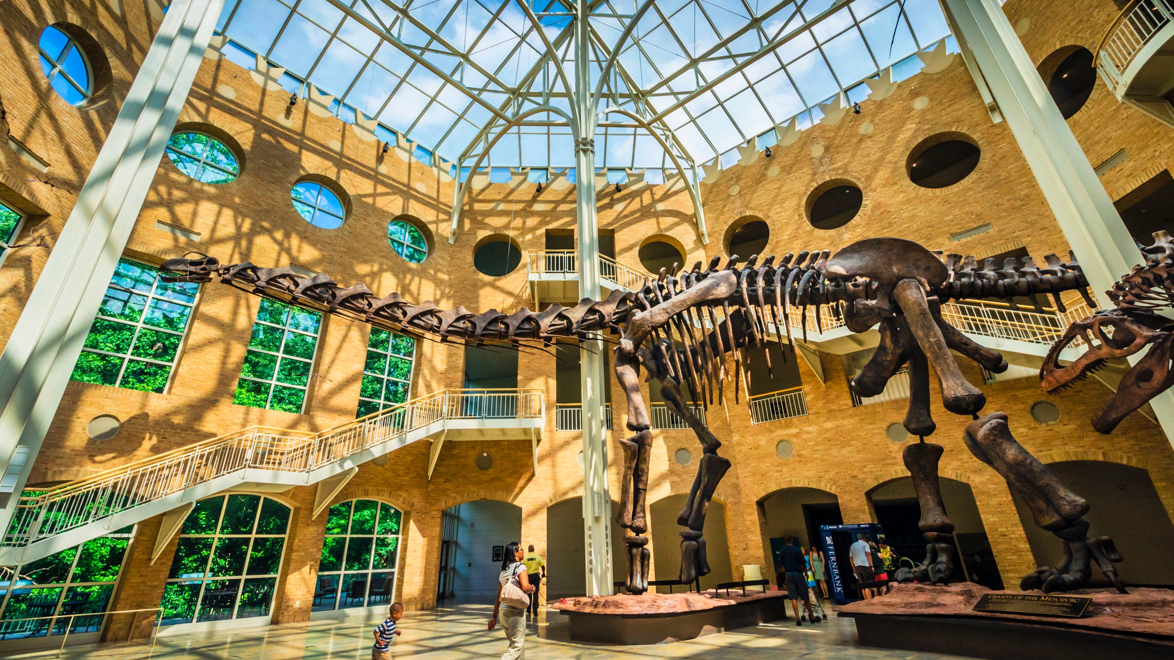 Visit a museum. There is at least one that will appeal to what interests you. How about dinosaurs at Fernbank Museum? (Courtesy of Discover DeKalb County Convention & Visitors Bureau)