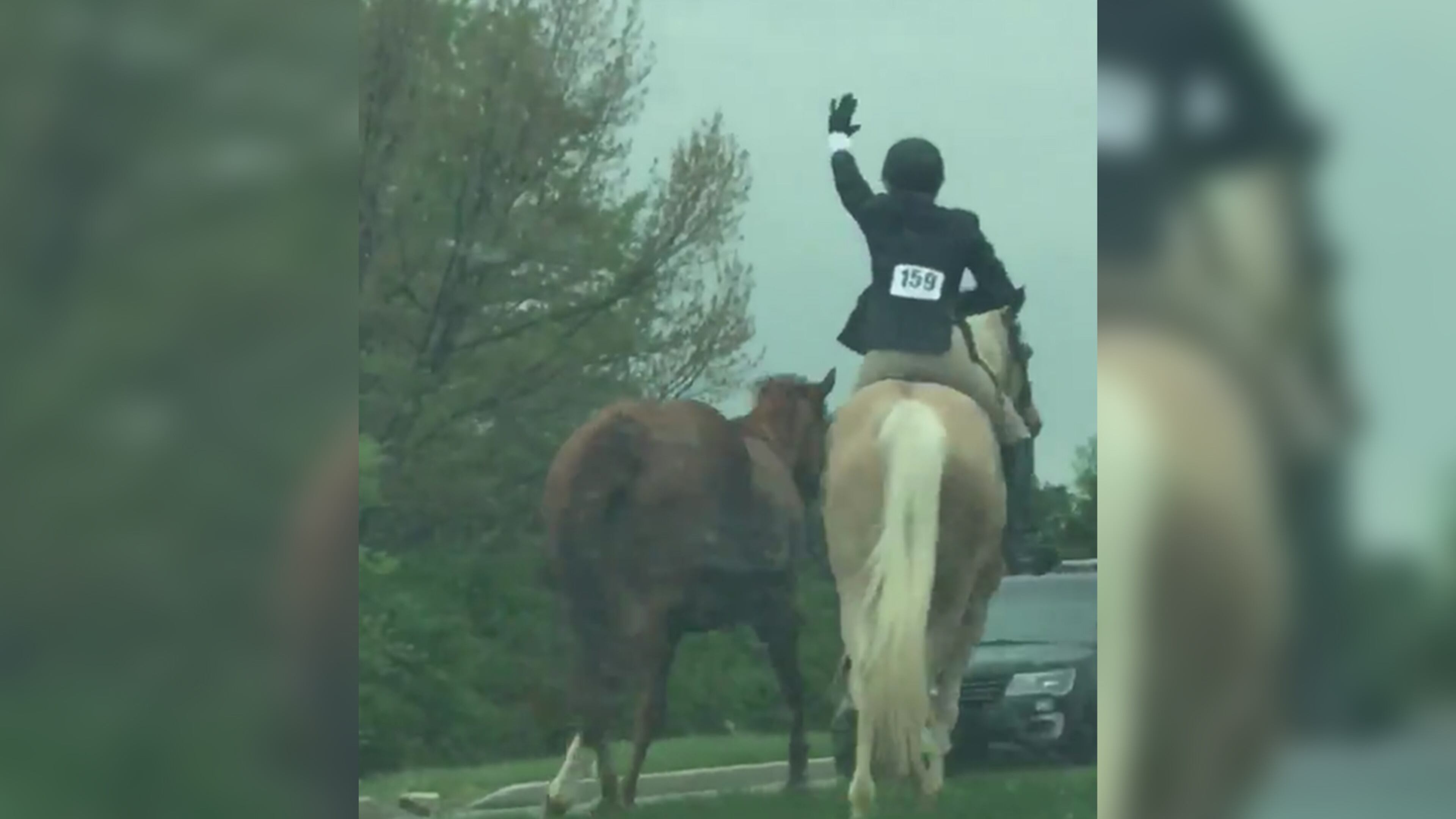 It wasn't a normal competition , but Caroline Shoults won when she chased down a runaway horse on a Maryland highway.