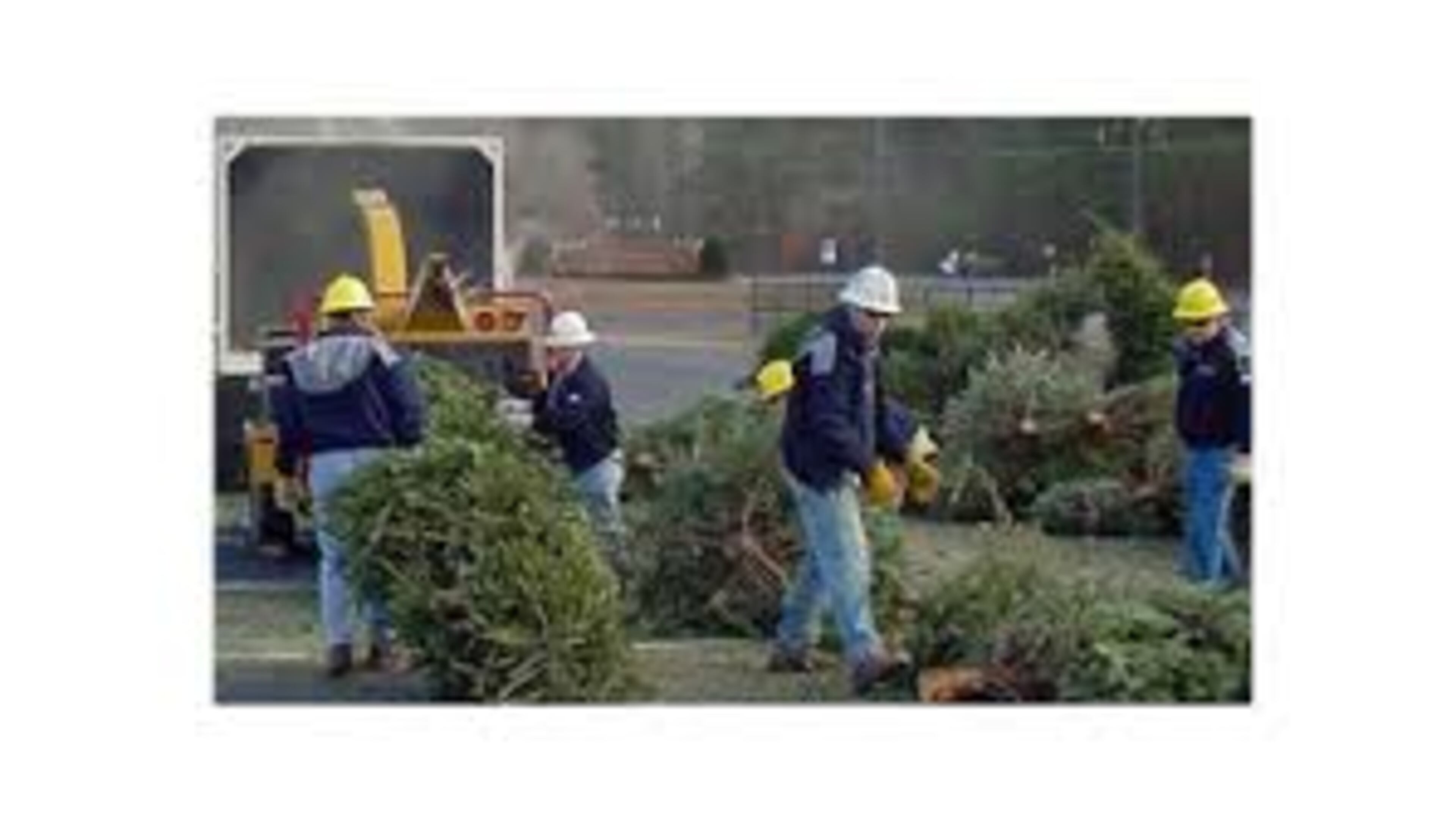 The city of Clarkston offers free Christmas tree recycling through Jan. 10. AJC file photo
