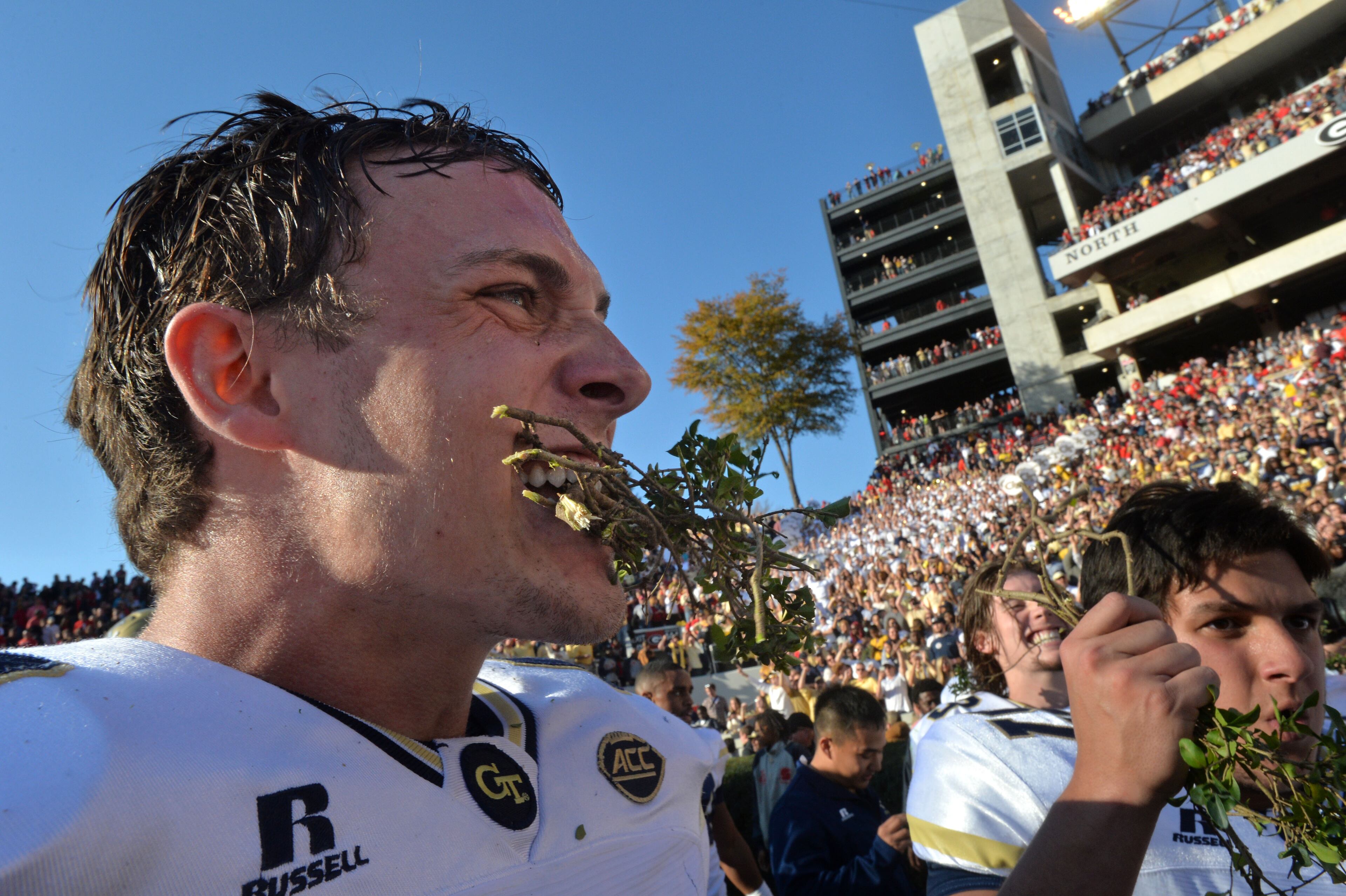 November 26, 2016 Athens - Georgia Tech linebacker Tyler Cooksey (43) celebrates their 28-27 win over Georgia with a piece of the Sanford Stadium hedges at Sanford Stadium on Saturday, November 26, 2016. HYOSUB SHIN / HSHIN@AJC.COM