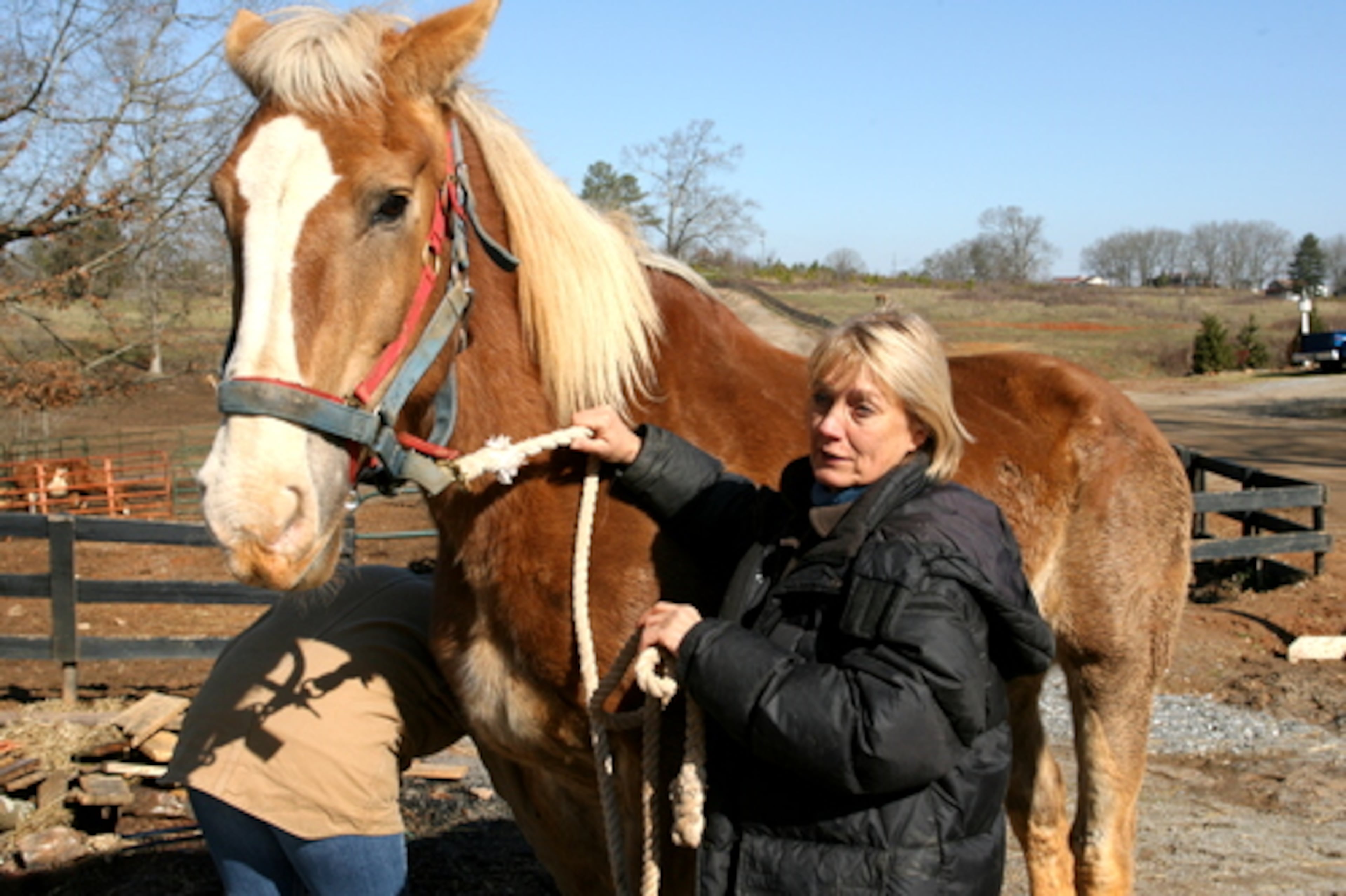 Flanagan hopes she will find Belle a home --even in this new climate.