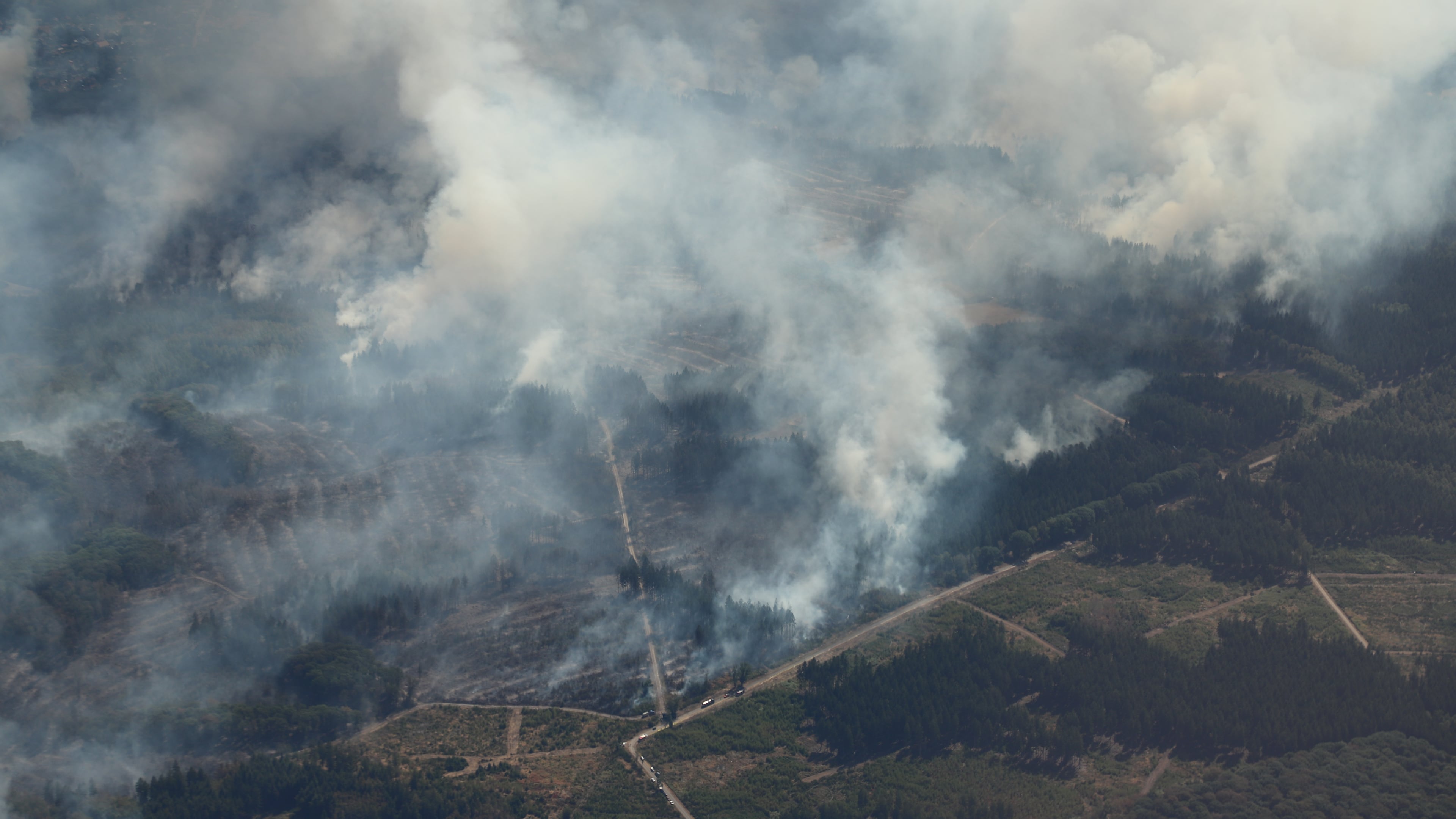 Smoke from a forest fire rises above the Hürtgenwald, in Düren, Germany, Friday, Aug. 14, 2026. (Sascha Thelen/dpa via AP)