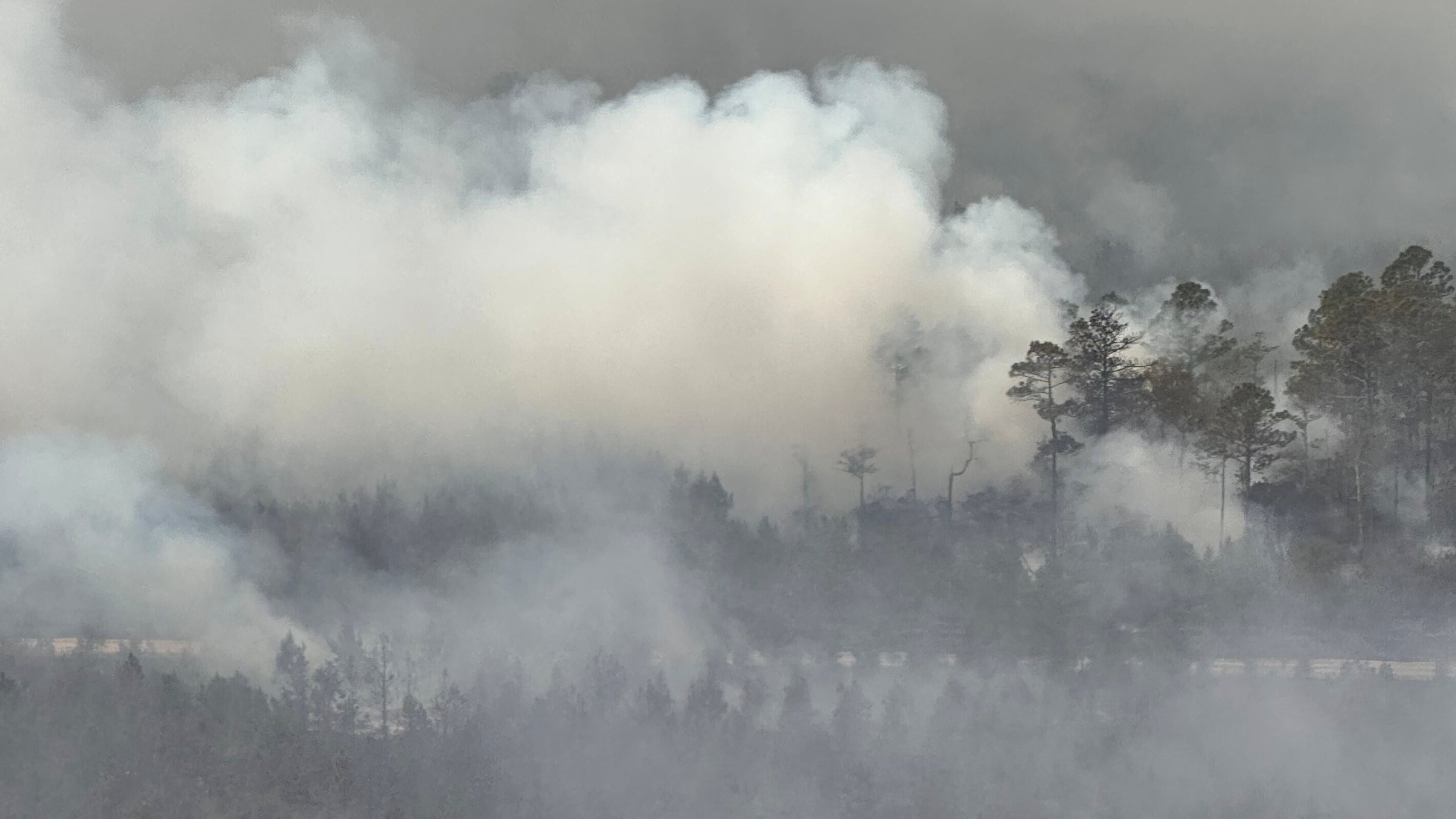 The photo provided by the Office of Gov. Brian Kemp shows smoke produced by a wildfire in Brantley County, Ga., Friday, April 24, 2026. (Office of Gov. Brian Kemp via AP)
