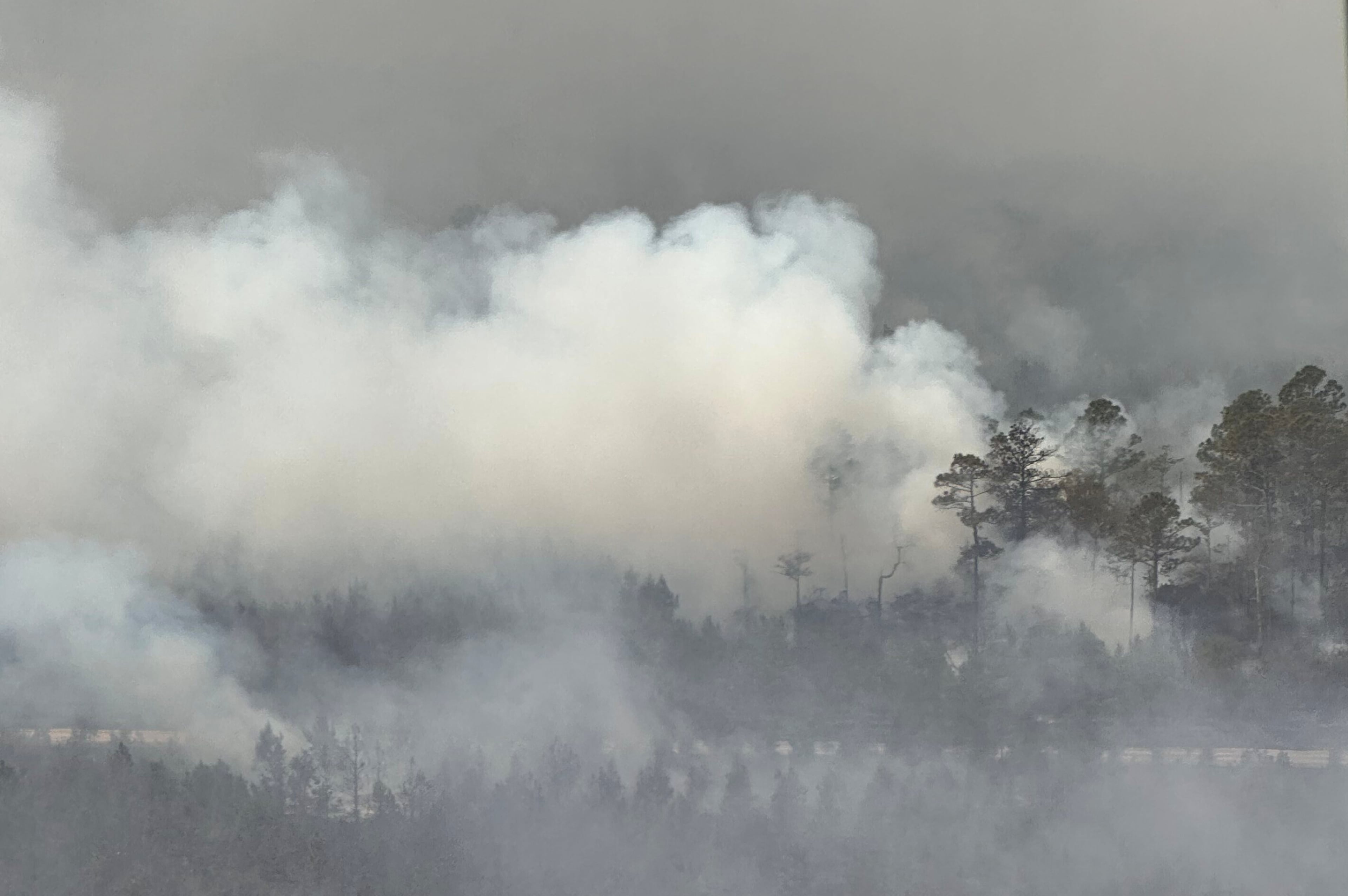 US Wildfires