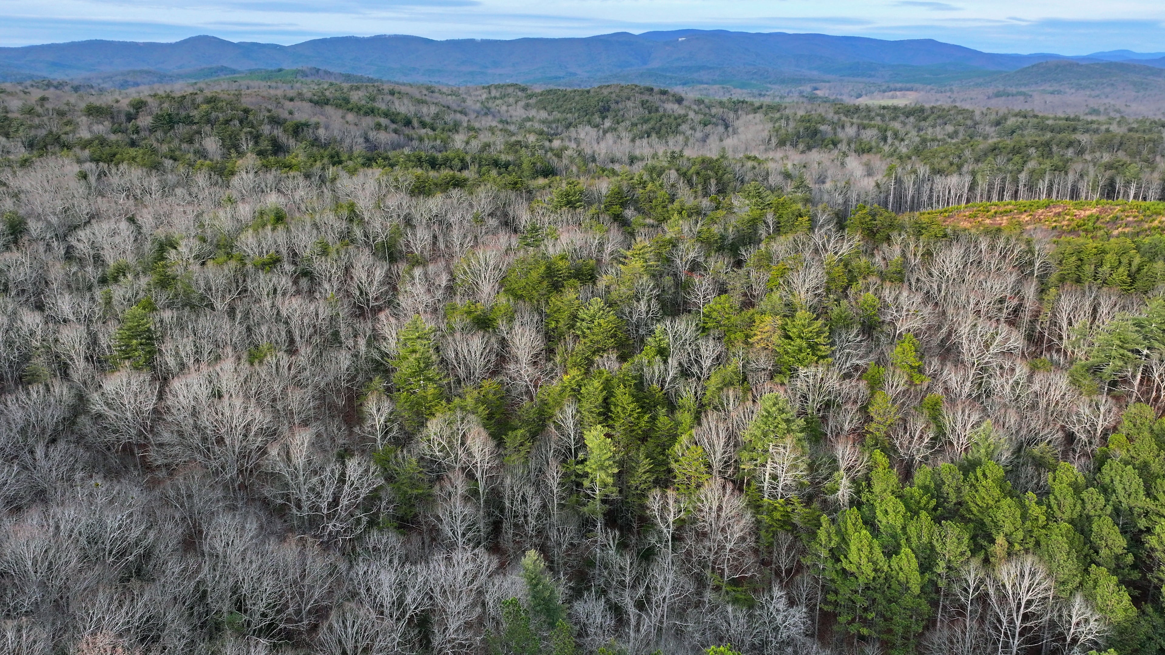 Aerial photo shows part of the Dawson Forest Wildlife Management Area, Thursday, January 31, 2025, in Dawsonville. Atlanta's 10,000-acre tract of forest is one part of the 25,500 acre WMA managed by the state as public recreation land. (Hyosub Shin / AJC)