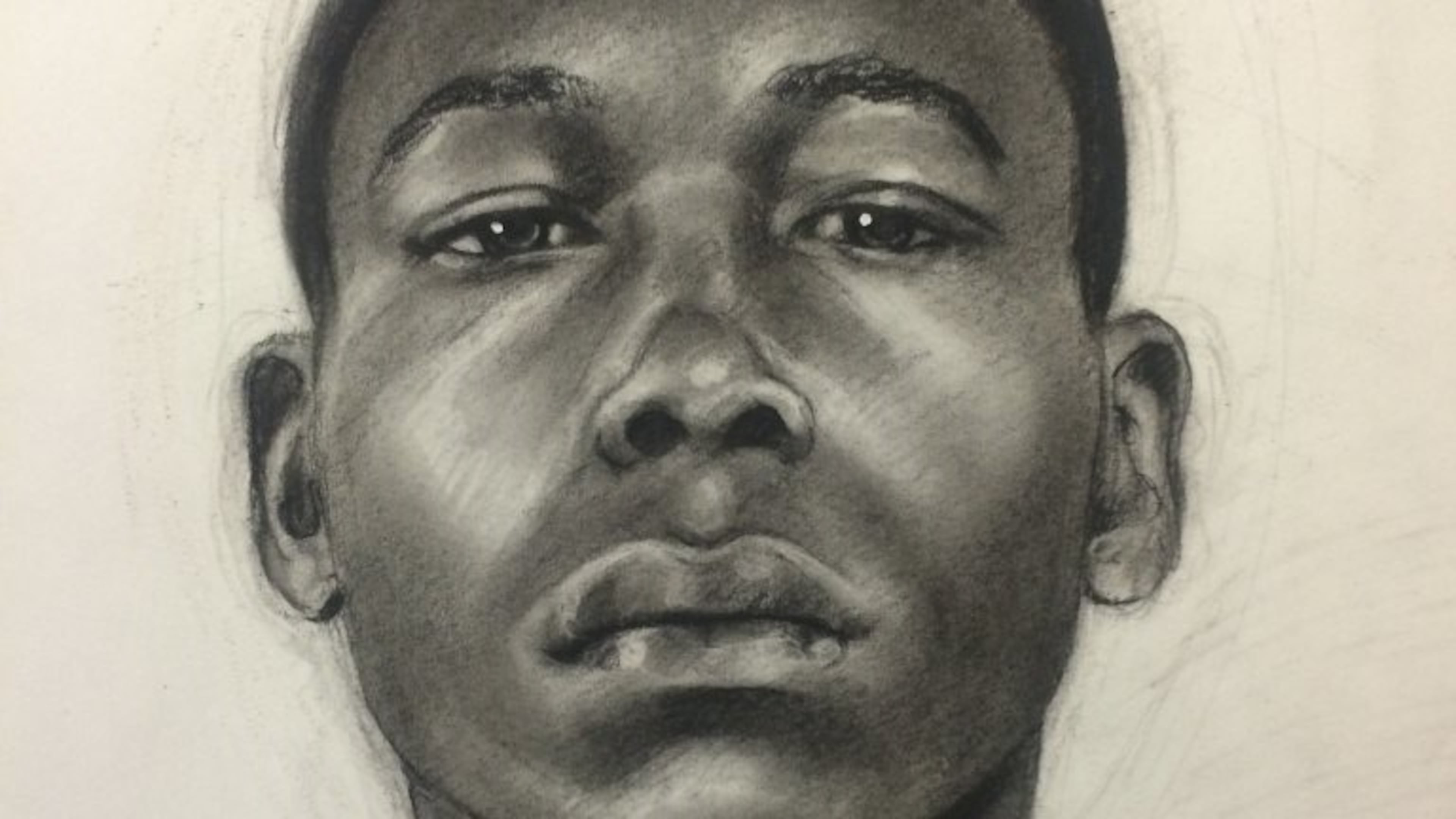 This is a sketch of one of the suspects in the Oct. 9 assault of 83-year-old Naomi King, widow of A.D. King. (Kelly Lawson / GBI)