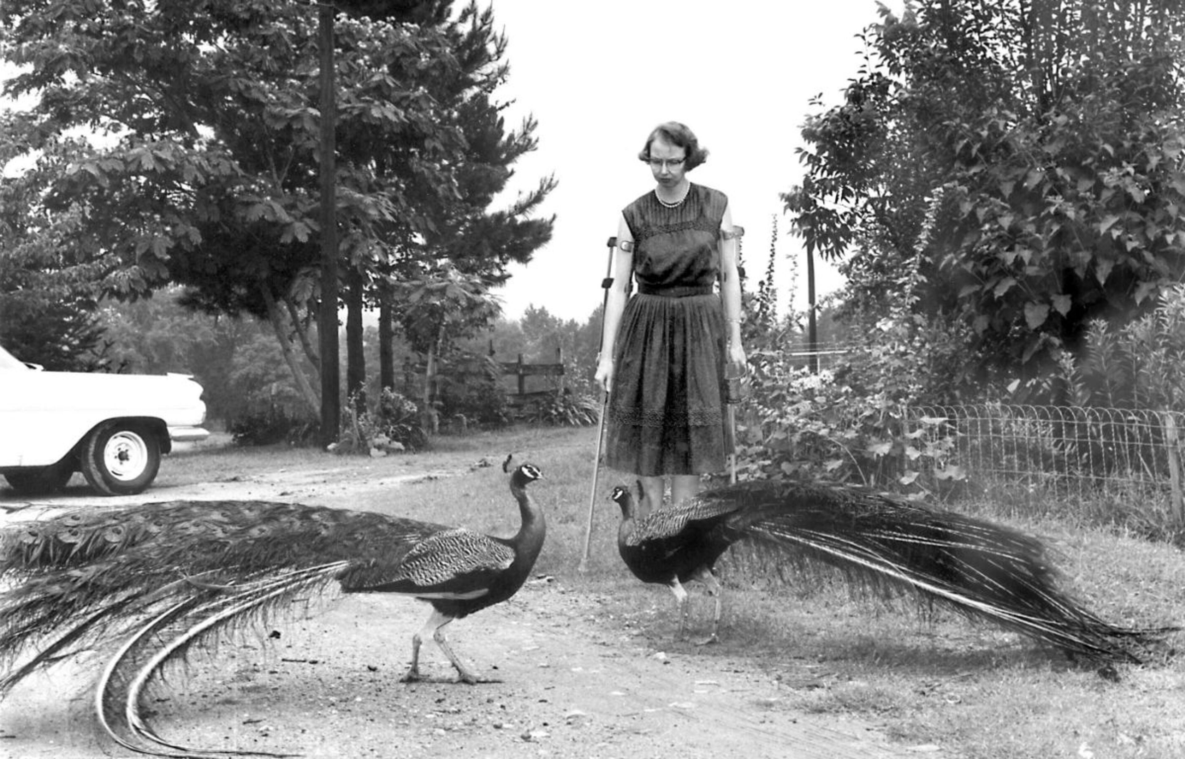 Flannery O’Connor, one of America’s greatest writers and charter member of the Georgia Writers Hall of Fame, died in August 3, 1964, in Milledgeville of lupus. She was 39.
