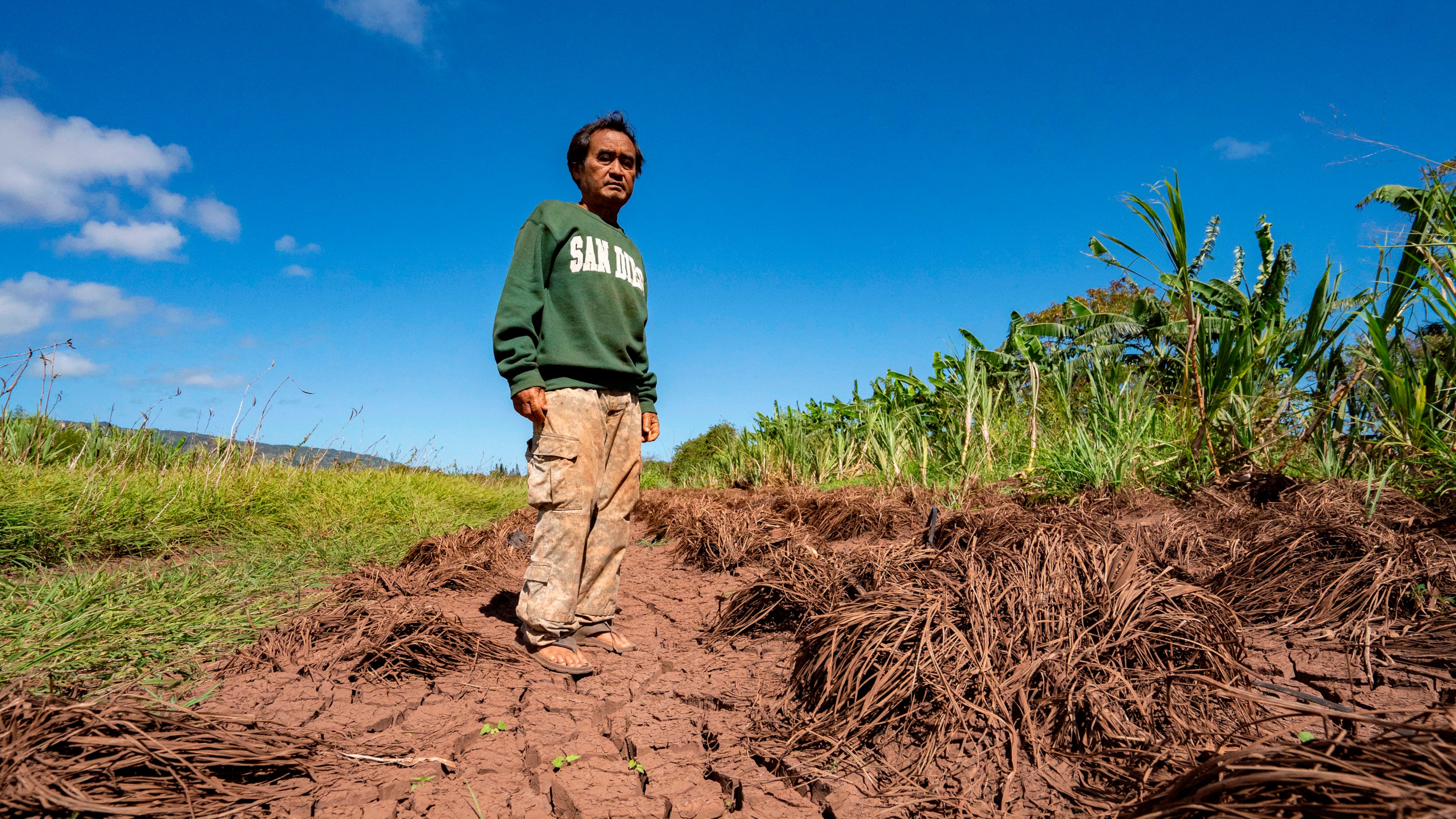 Bok Kongphan poses for a photo at his farm, Monday, May 4, 2026, in Waialua, Hawaii. (AP Photo/Mengshin Lin)