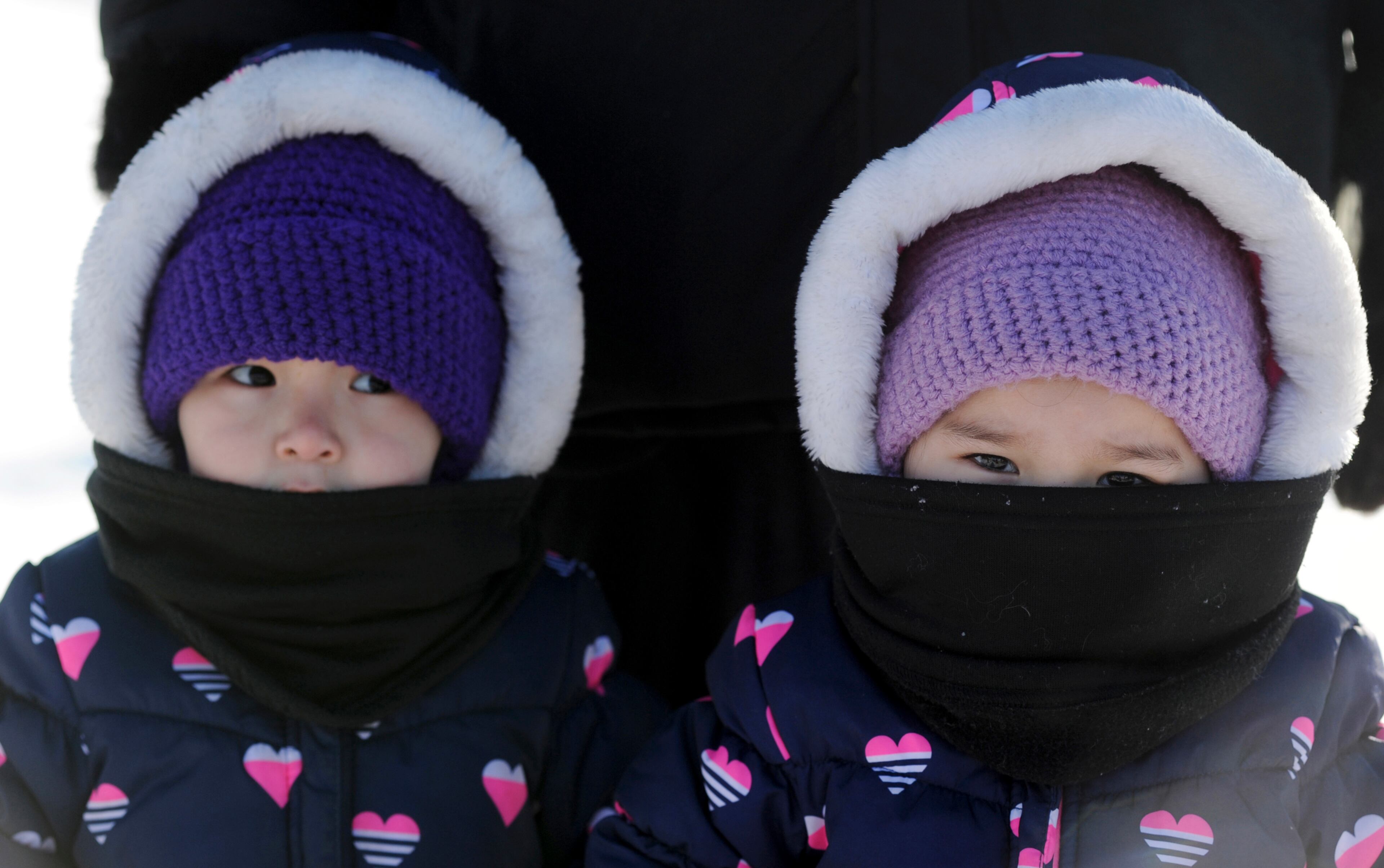 Twins Emily and Evelyn Huffman, 2, watch Mitch Seavey work with his dogs after he arrived at the White Mountain checkpoint during the Iditarod Trail Sled Dog Race on Monday, March 10, 2014, in White Mountain, Alaska. (AP Photo/The Anchorage Daily News, Bob Hallinen)