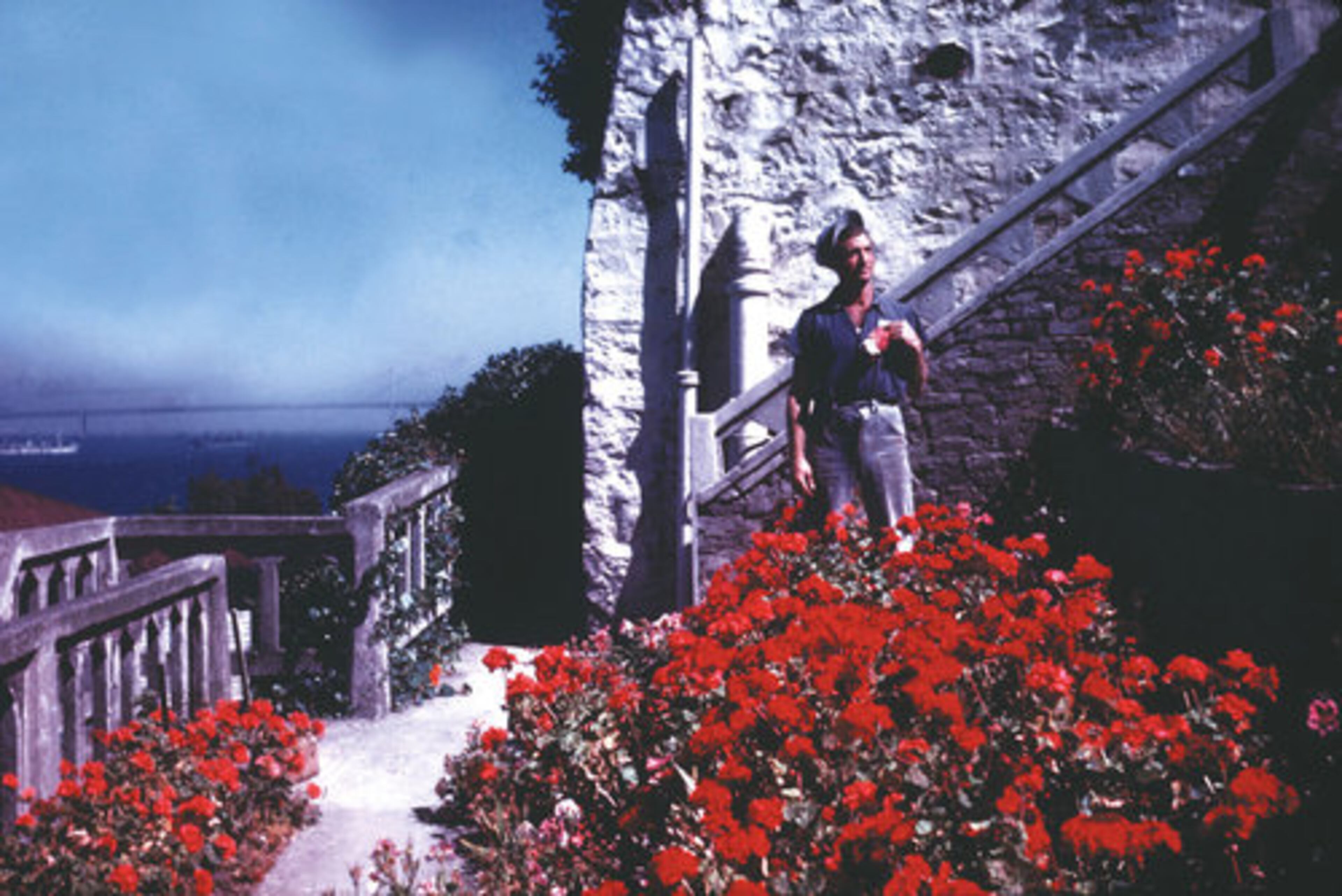 Seen here is a prisoner in the gardens along Officers' Row on Alcatraz, ca 1934-46. Scoured by wind and steeped in criminal history, Alcatraz has a forbidding face. But look a little closer and you see a gentler side to this old fortress, the gleam of flowers blooming brightly on the island's rocky slopes.