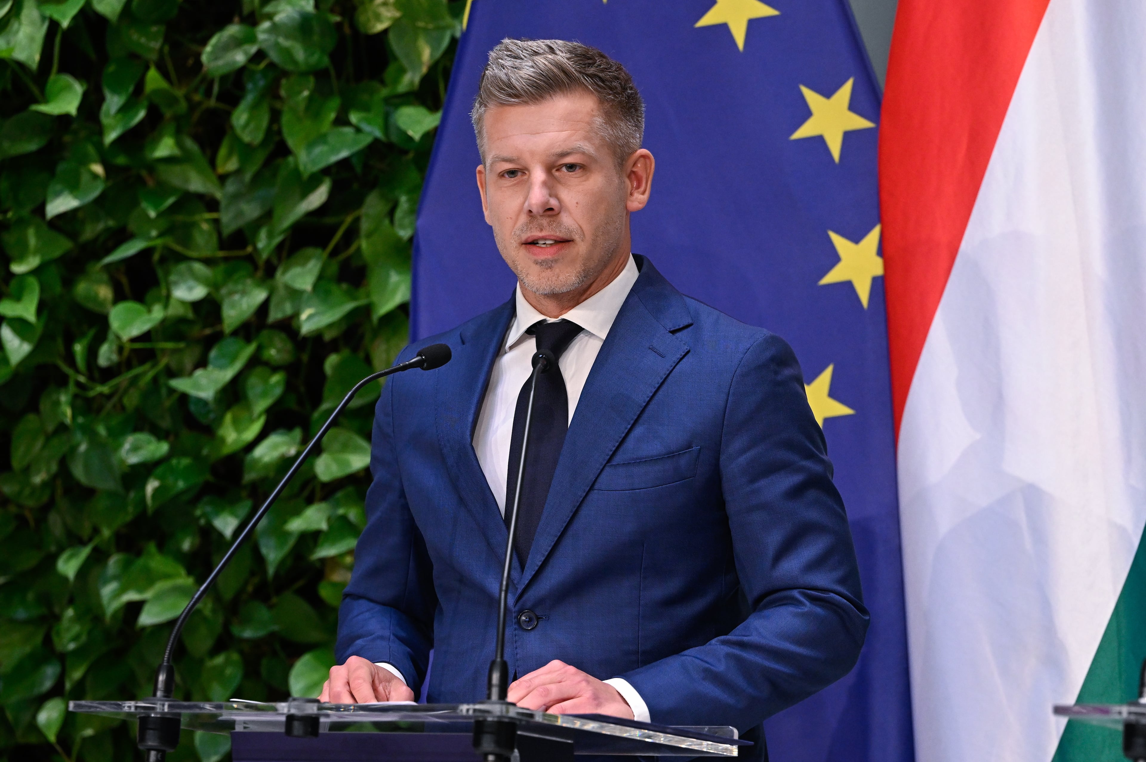 Hungary Politics