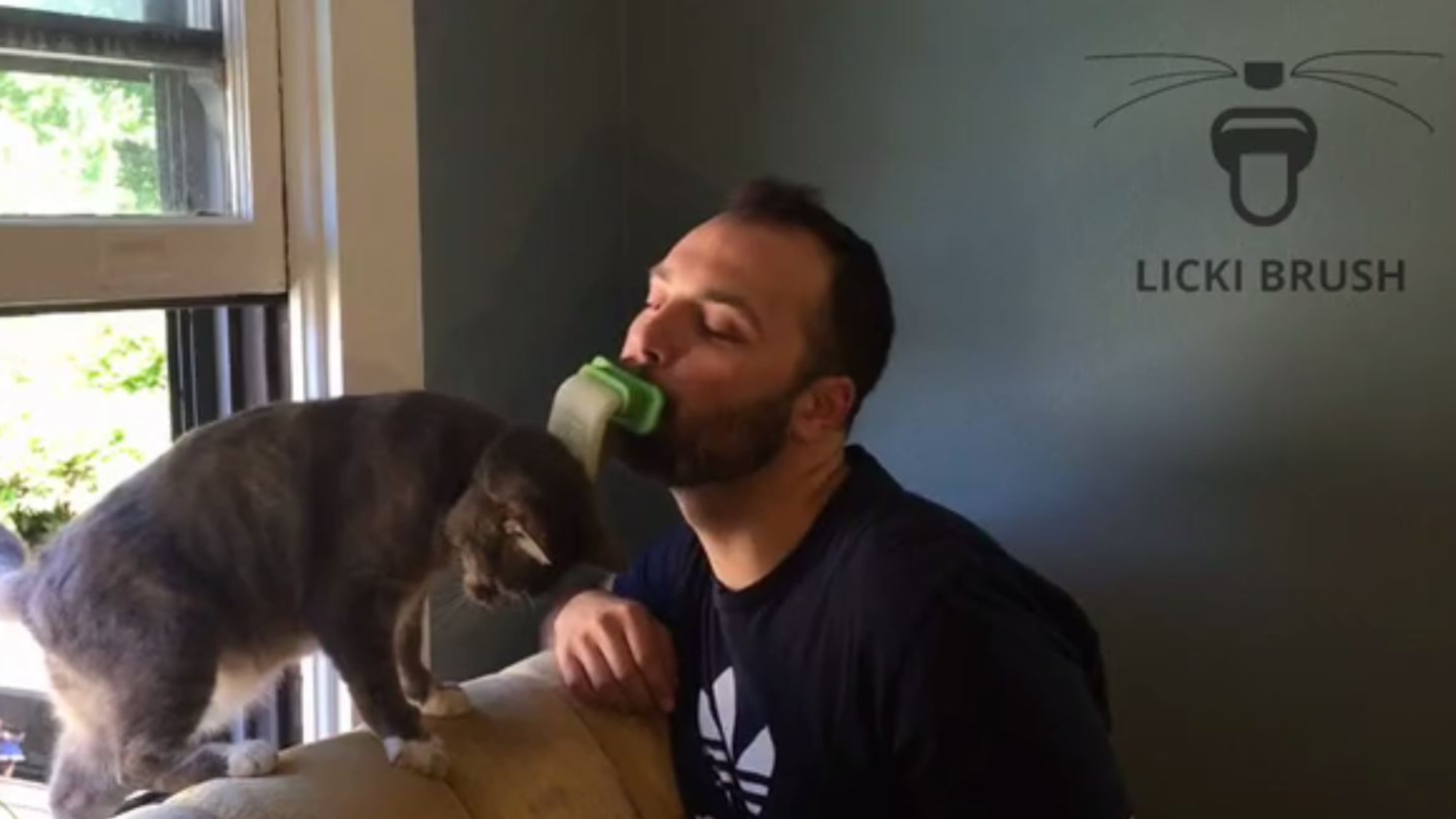 Screen grab of the Licki Brush