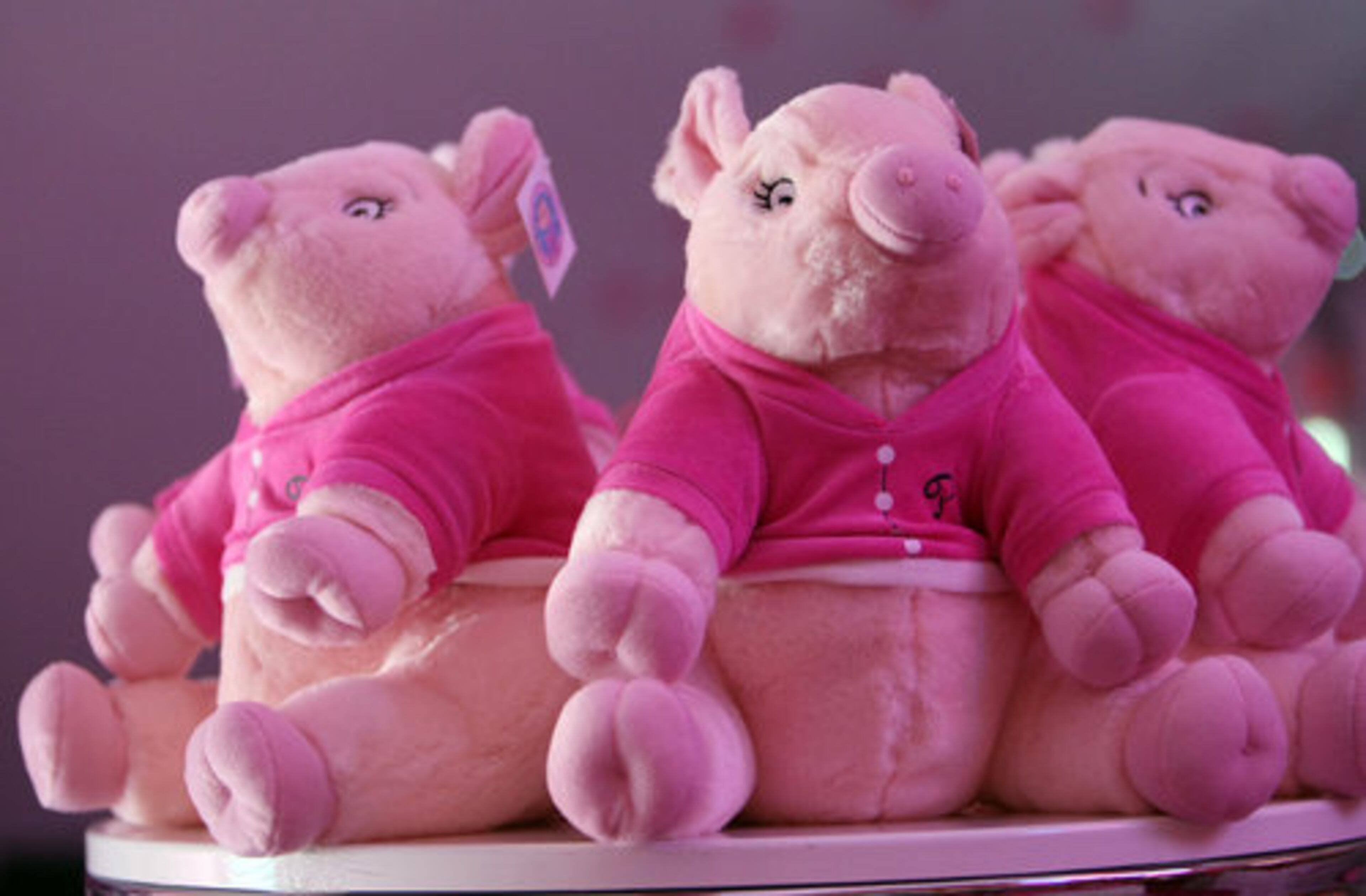 Stuffed Priscillas sit on a shelf, waiting to be taken home by a lucky boy or girl. These cost $15.