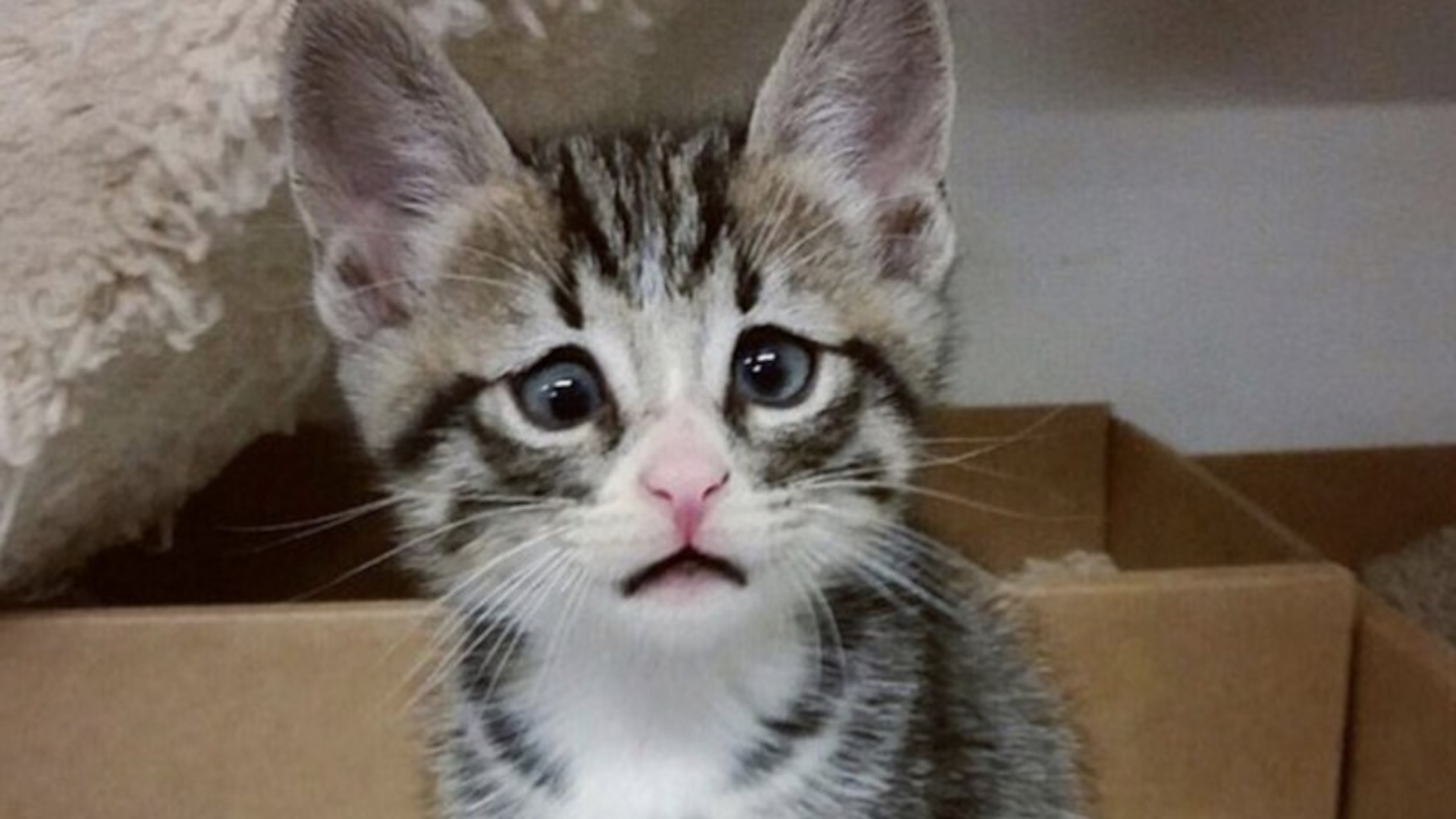 Photo credit: Instagram