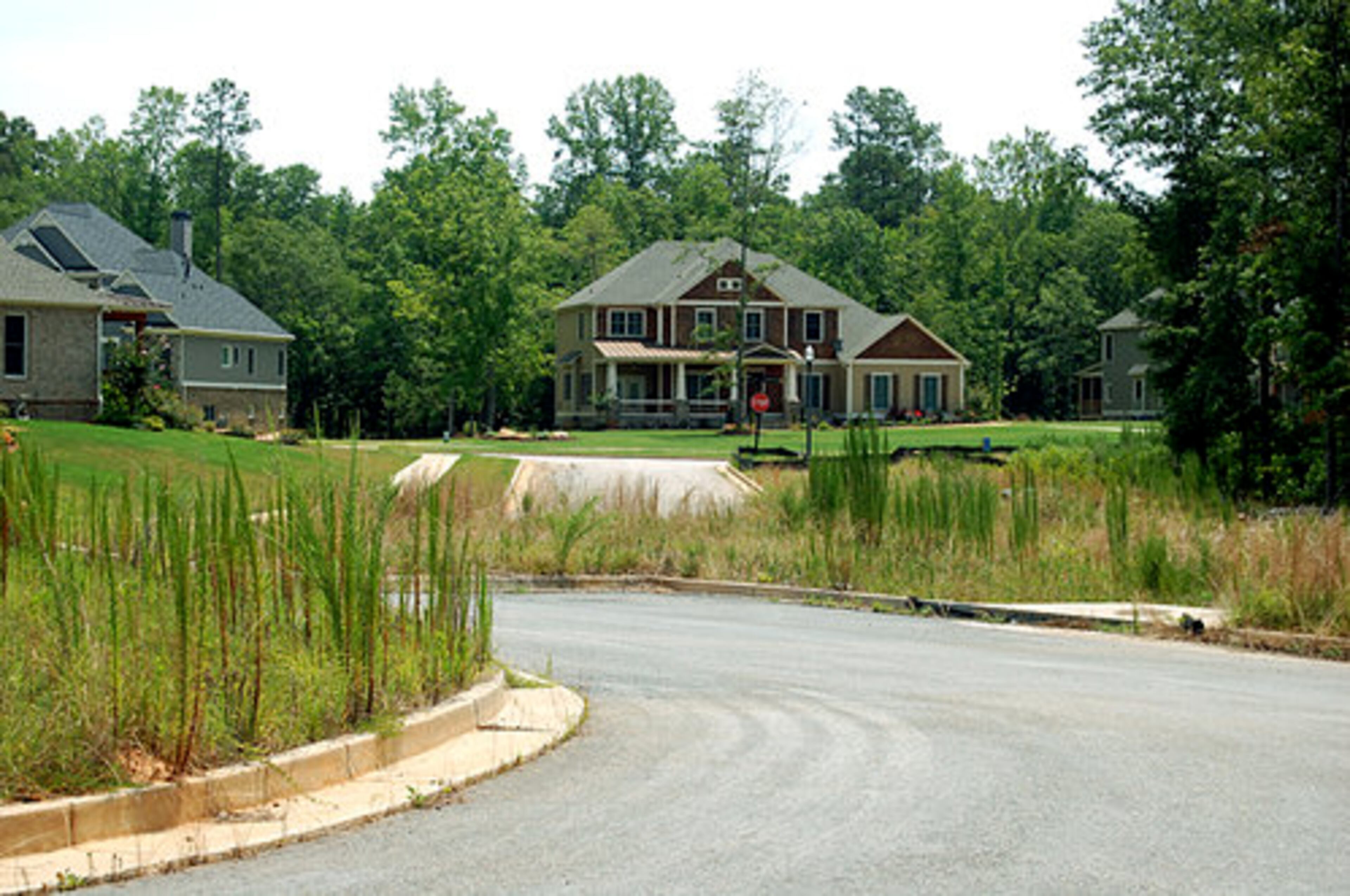 Construction at WaterLace stopped after only about a dozen homes were completed.