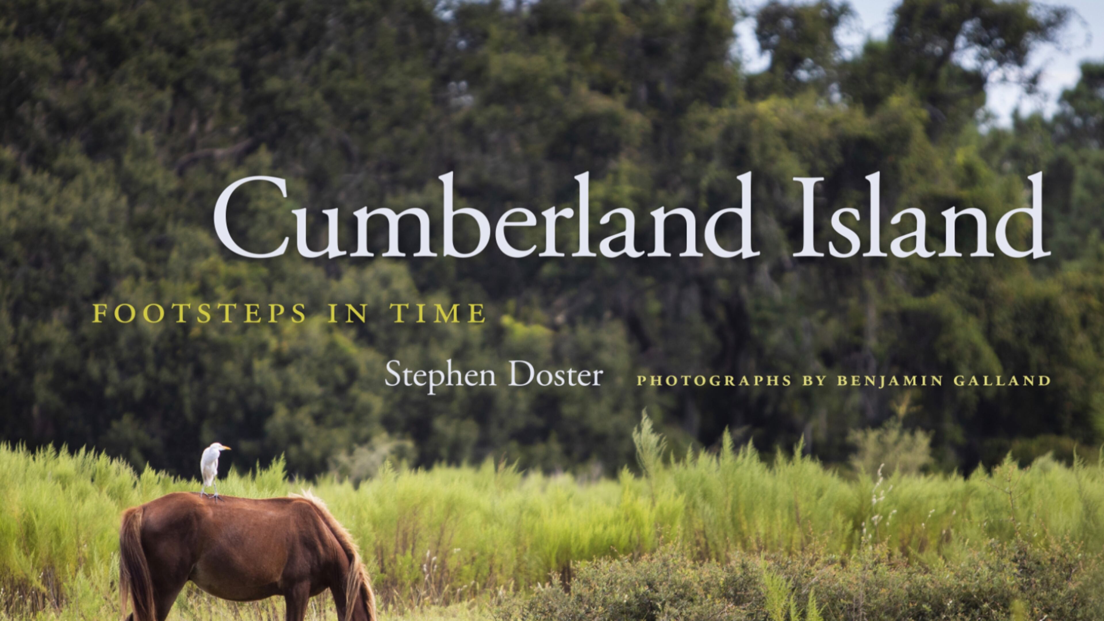 "Cumberland Island Footsteps in Time" by Stephen Doster