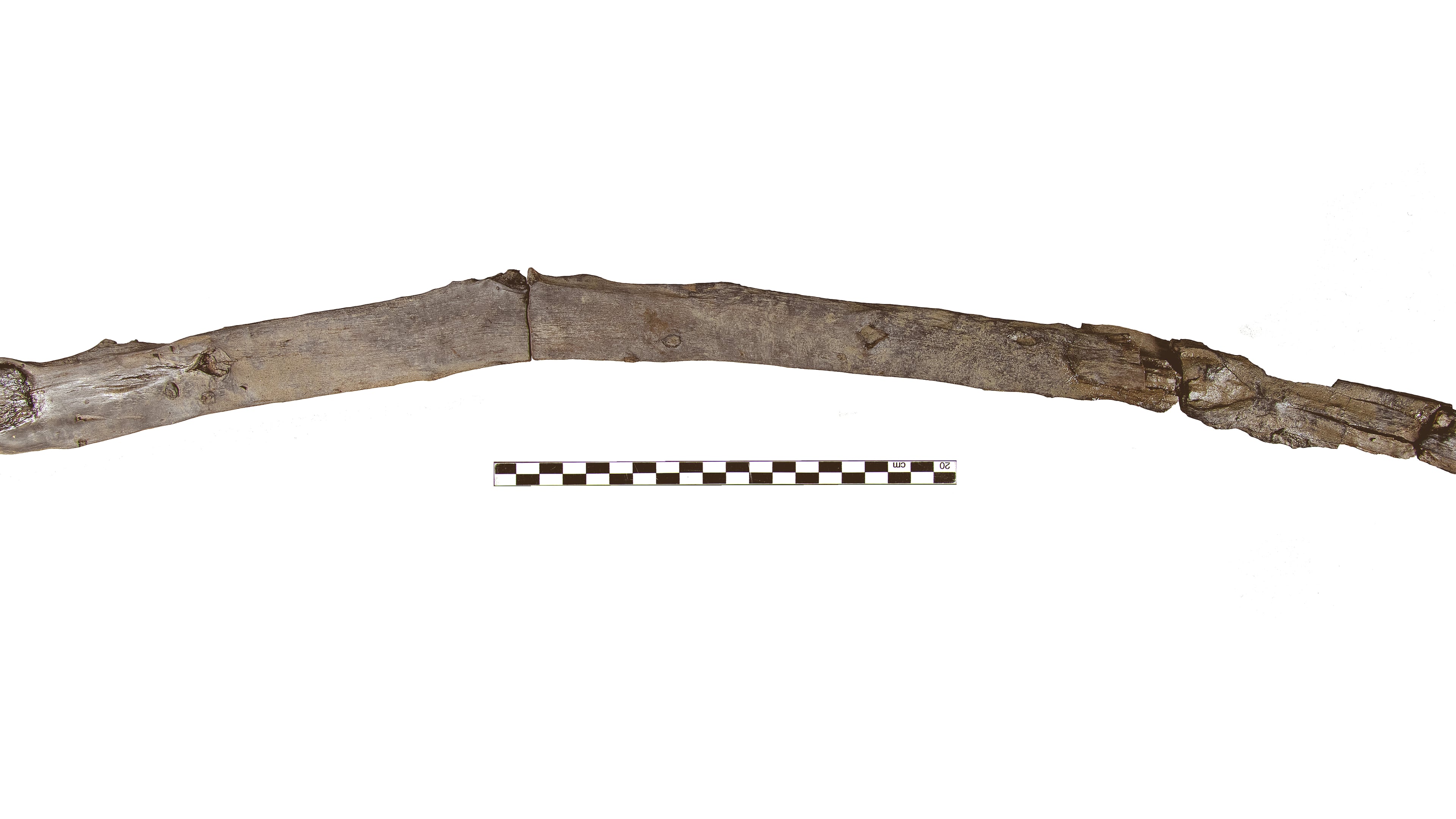 This undated image provided by Katerina Harvati shows a 430,000 year old wooden tool from Greece that was possibly used for digging. (Katerina Harvati, Dimitris Michailidis via AP)