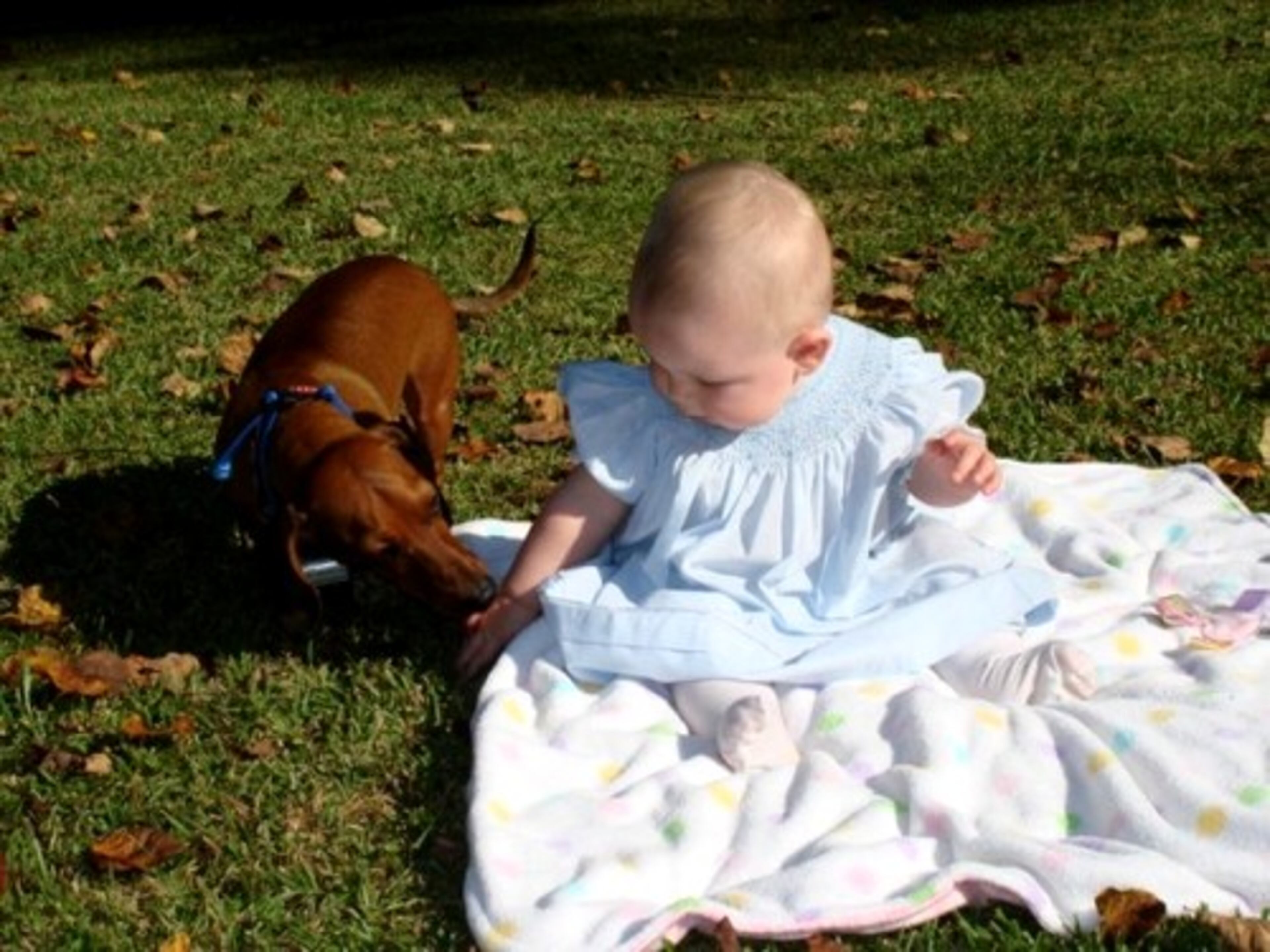 Hey Lucy, you're on my blanket!