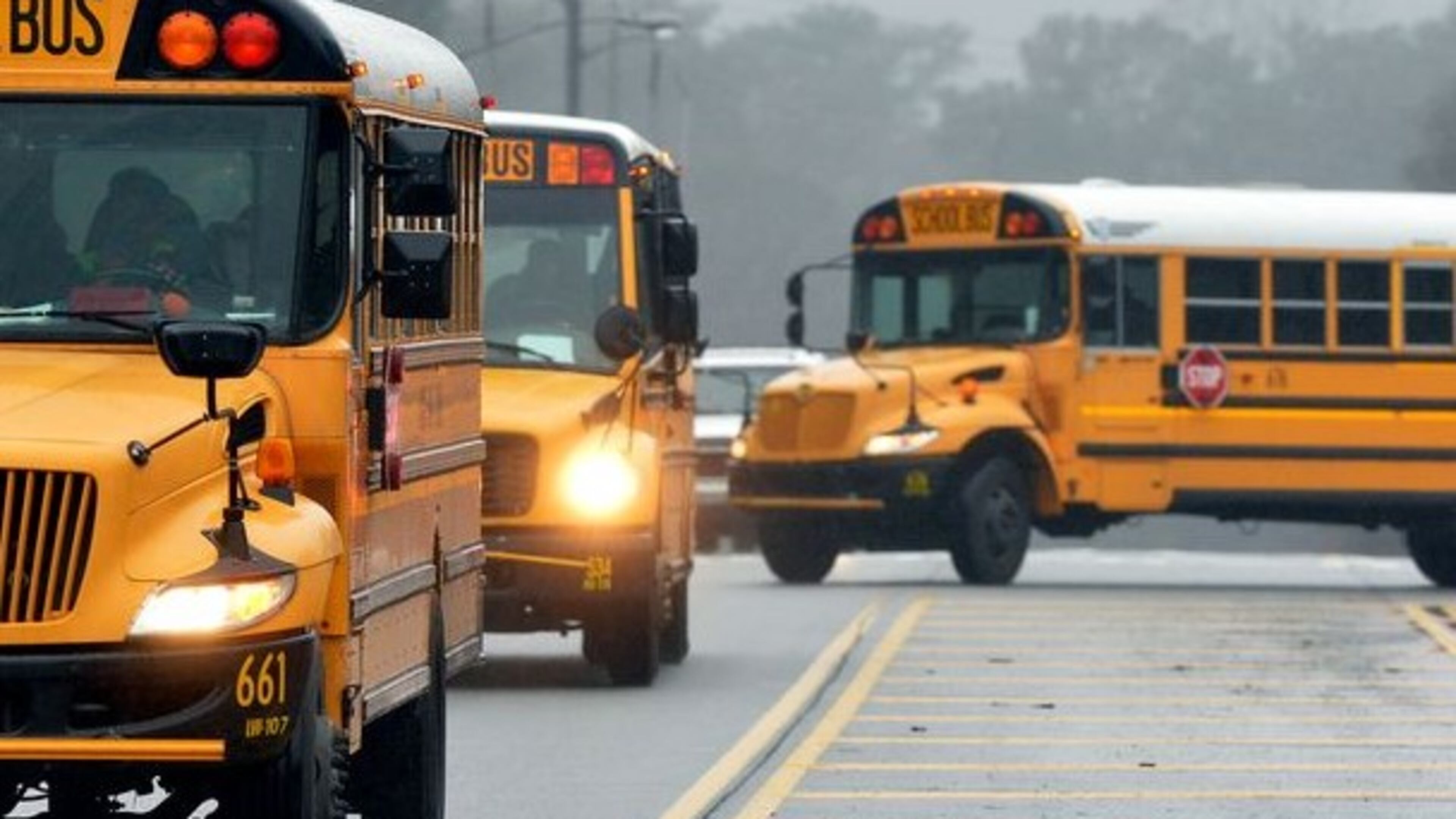 Georgia law requires school boards to maintain accreditation