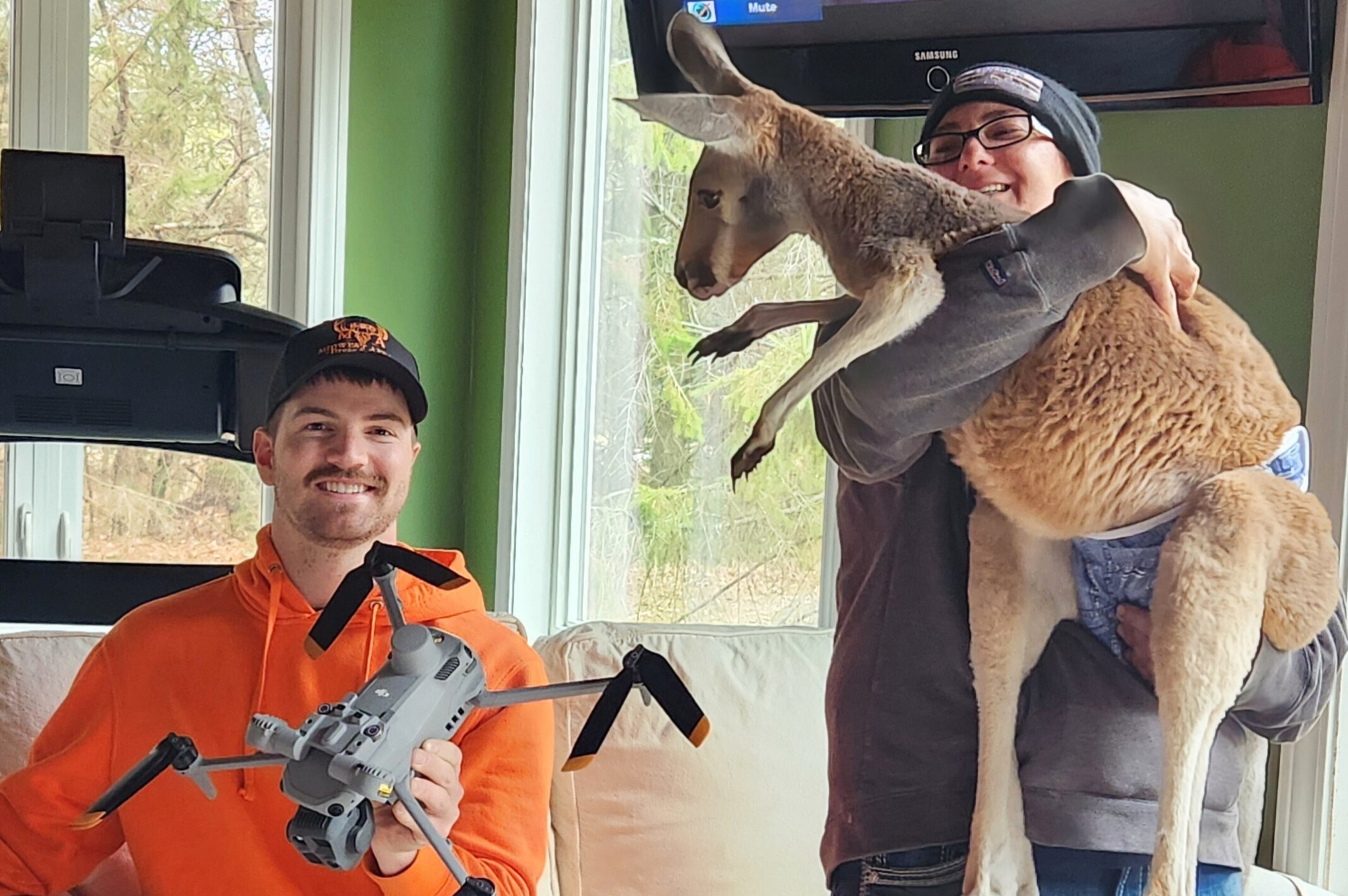 Petting Zoo Kangaroo