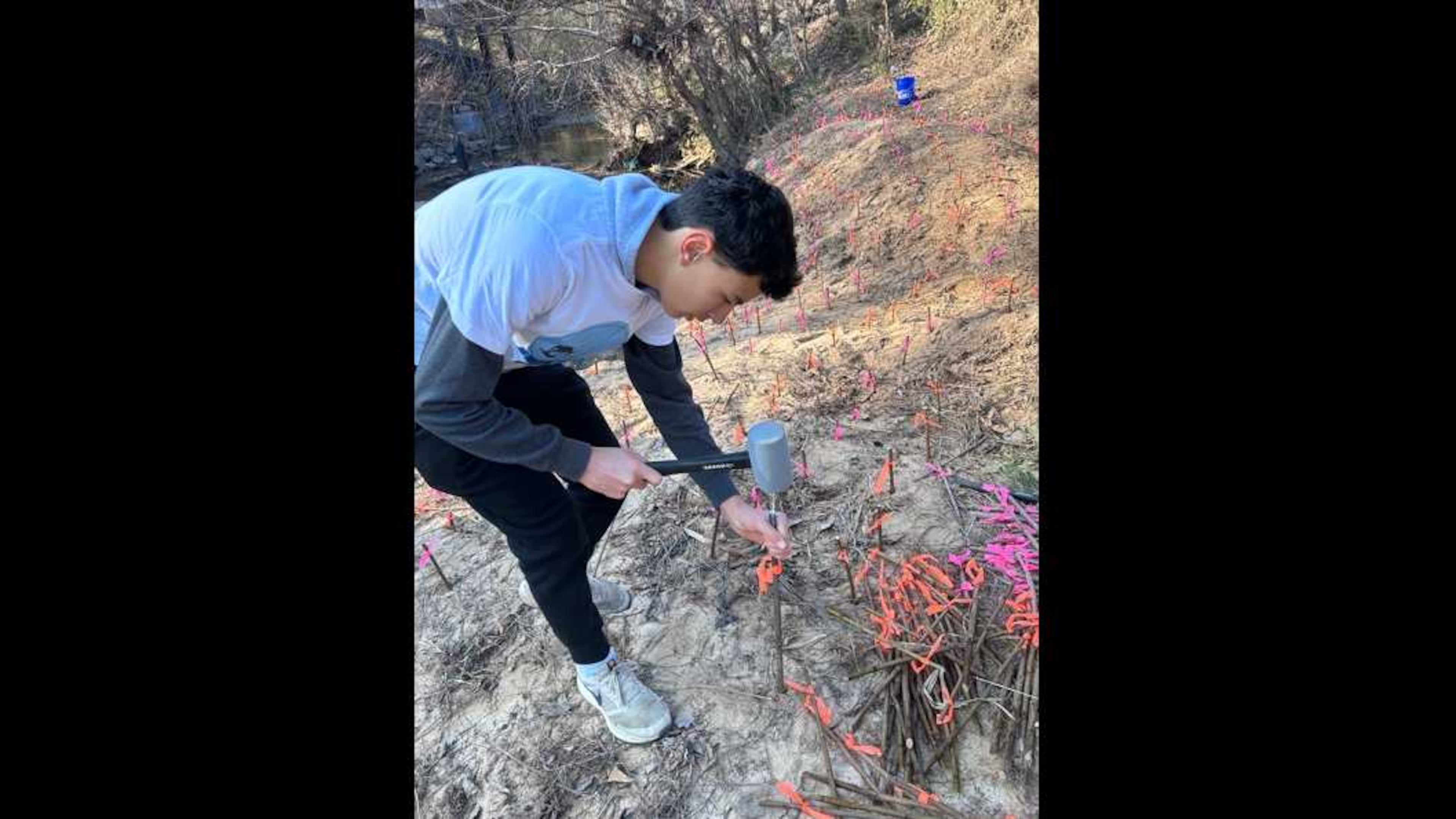Chamblee High School student Maximo Luciani puts live plant stakes on Bubbling Creek near the school. Students were able to plant nearly 1,000 live stakes in erosion-afflicted areas. (Courtesy)