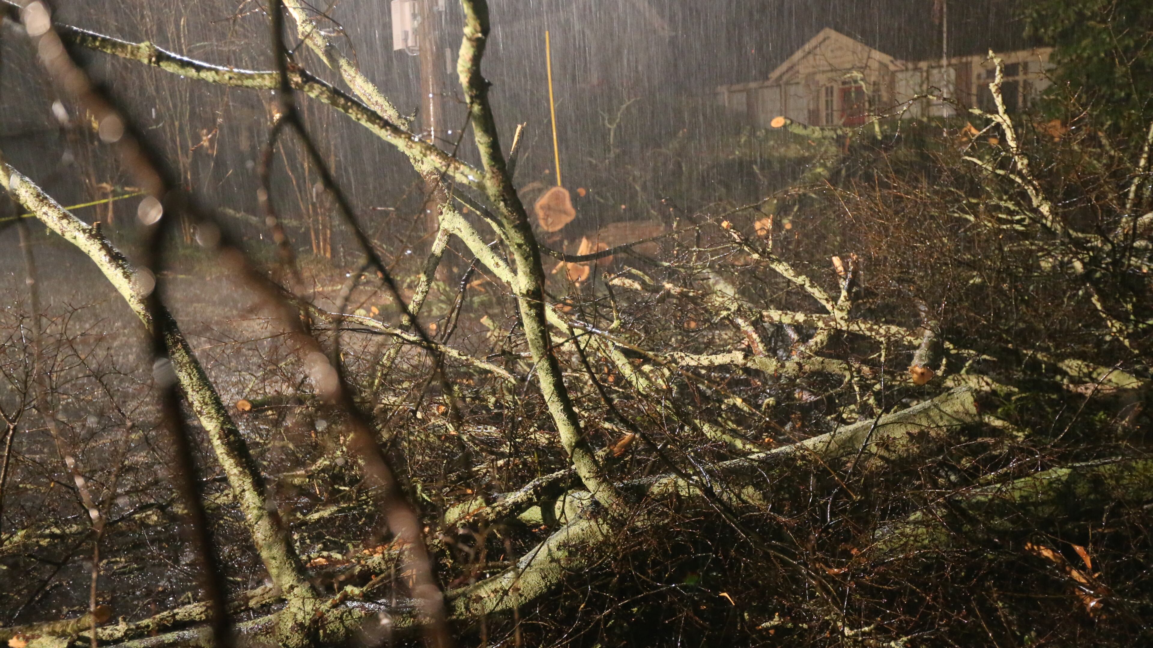 Storms caused downed trees throughout metro Atlanta Wed., Feb. 24, 2016. JOHN SPINK / JSPINK@AJC.COM