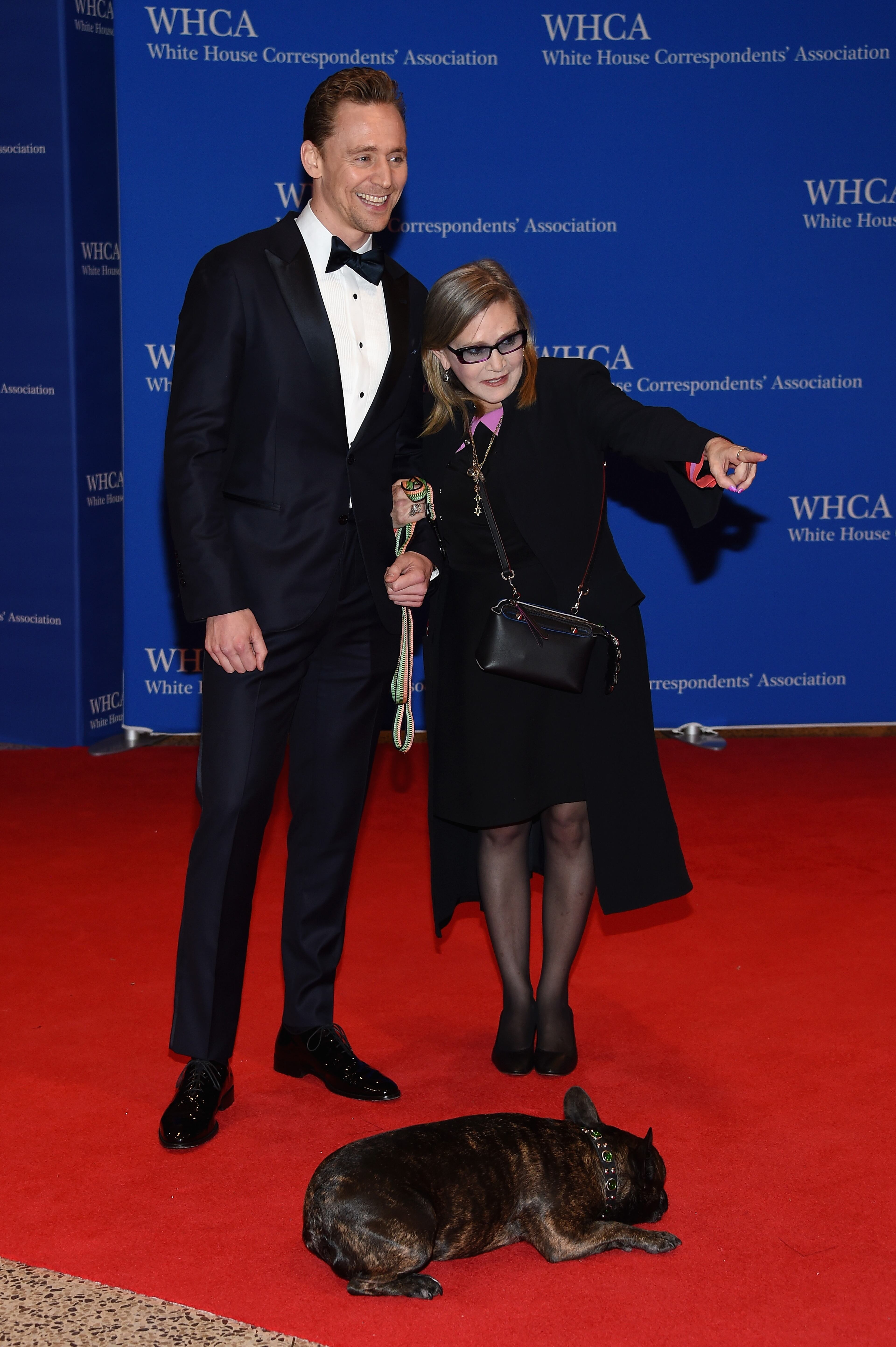 WASHINGTON, DC - APRIL 30: Actors Tom Hiddleston (L) and Carrie Fisher with her dog Gary attend the 102nd White House Correspondents' Association Dinner on April 30, 2016 in Washington, DC. (Photo by Larry Busacca/Getty Images)