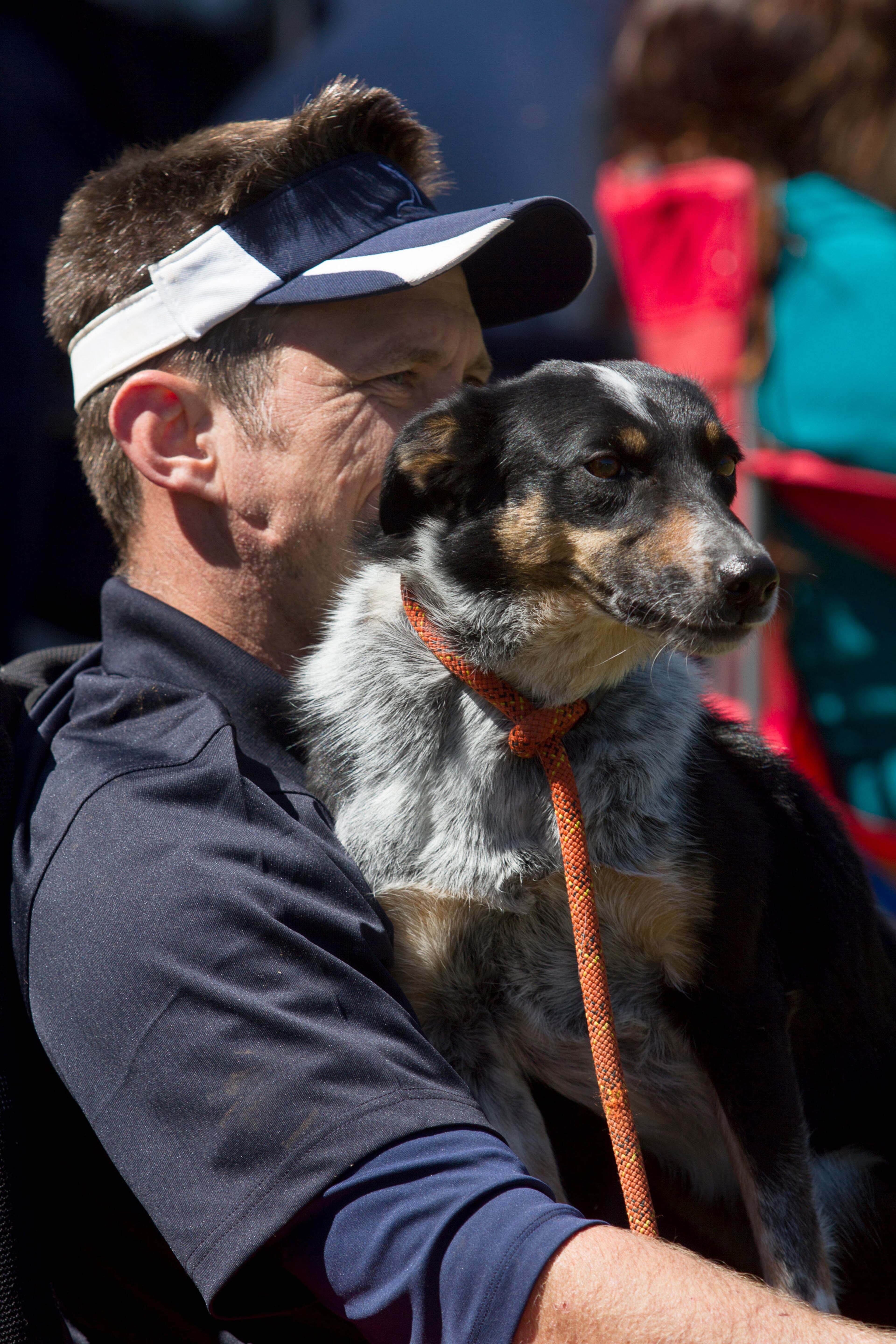 Dean Werts watches the competition with his dog during the 2016 Disc Dog Southern Nationals Qualifier tournament at Piedmont Park in Midtown Saturday April 9, 2016. STEVE SCHAEFER / SPECIAL TO THE AJC
