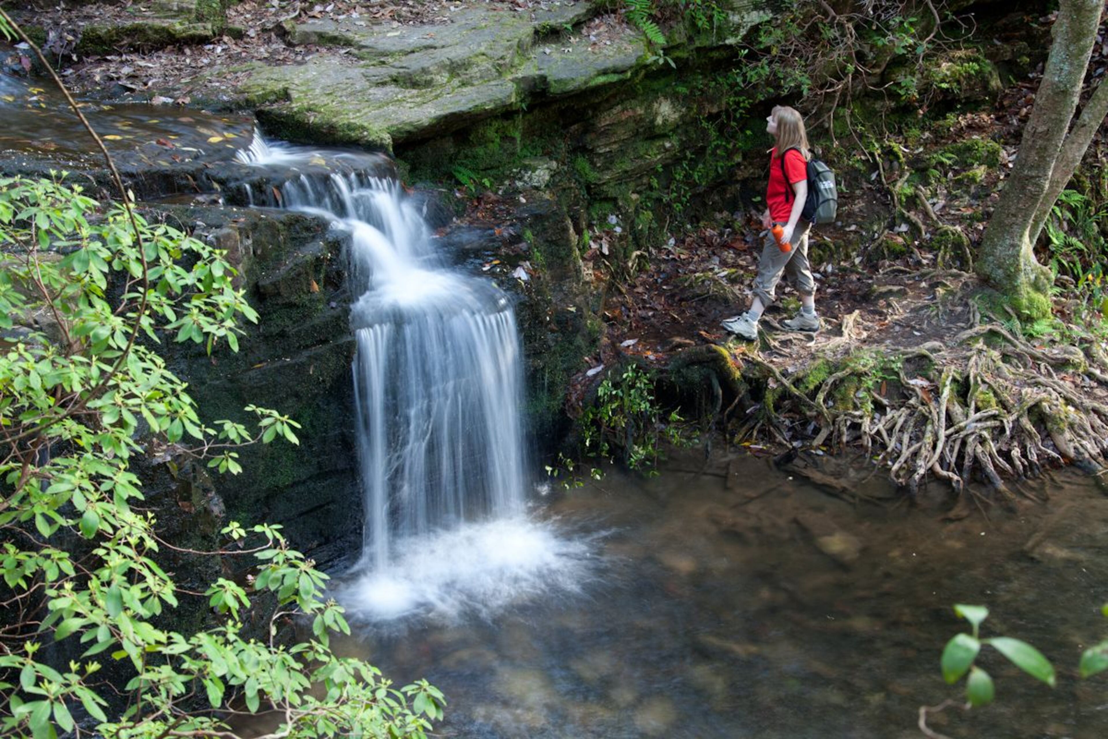 Located in F.D. Roosevelt State Park, Cascade Falls is one of the largest waterfalls outside of the North Georgia Mountains.
Courtesy of the Georgia Department of Natural Resources.