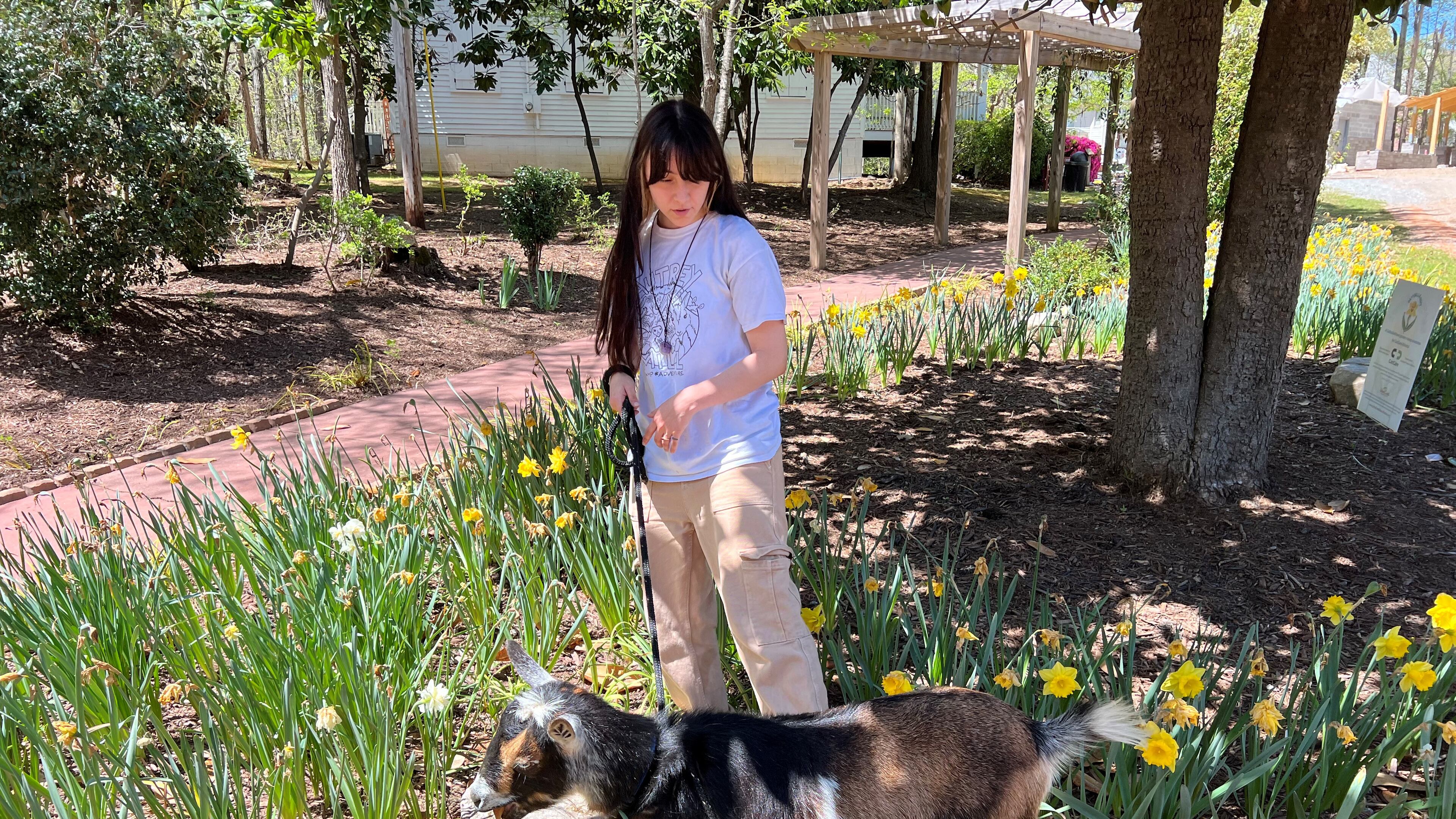 Jessica Legato, conservation educator at Autrey Mill Nature Preserve and Heritage Center leads the goat walking program. She is shown here with Maggie the Nigerian dwarf goat who knows how to do tricks and the most talented walker.