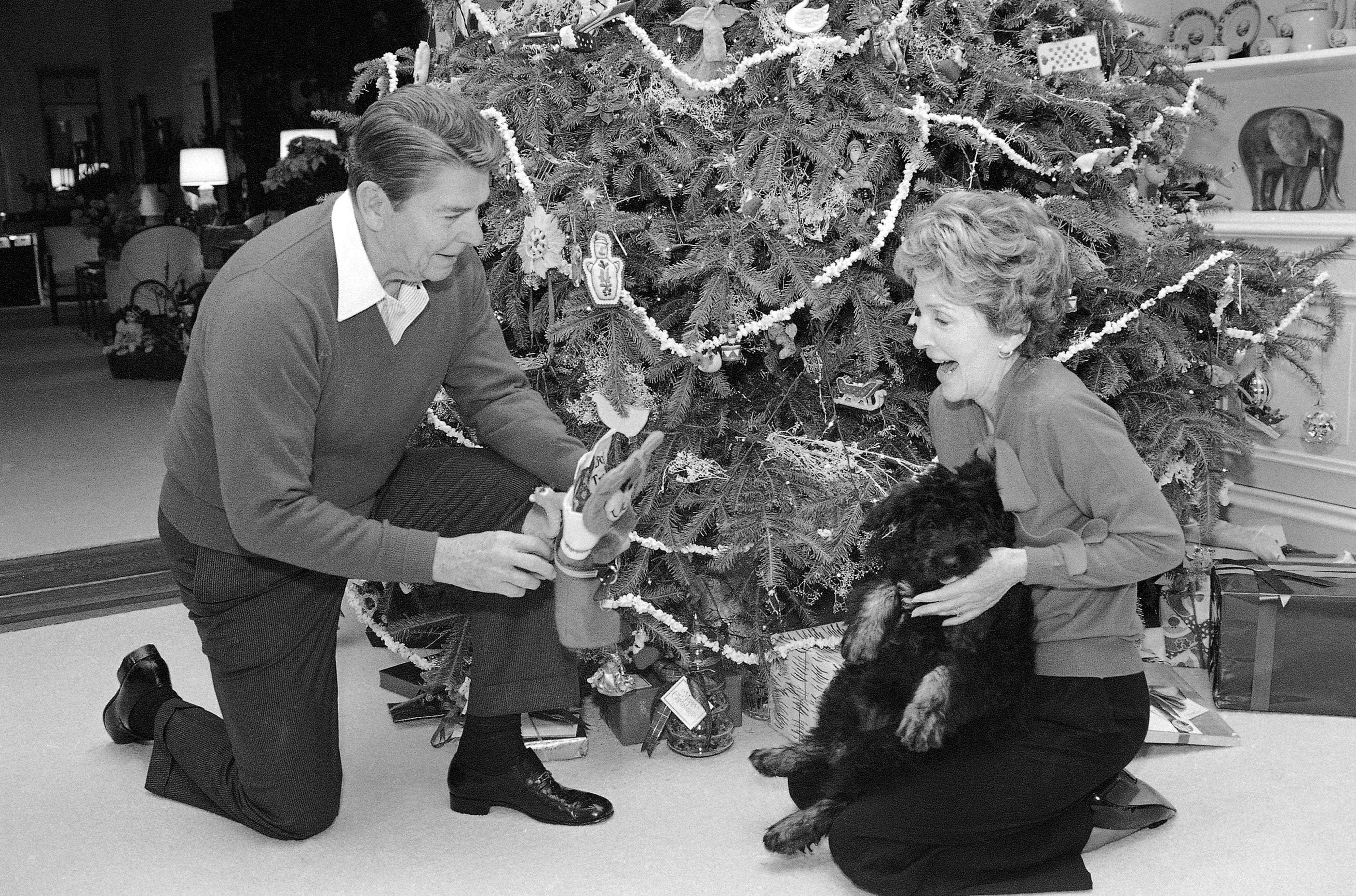 In this Dec. 24, 1984, file photo President Ronald Reagan and first lady Nancy Reagan have a new guest for its first Christmas, their dog Lucky, as it checks the gifts with the Reagan's in front of the family quarter's tree at the White House in Washington. In 1981, Reagan caught Nancy Reagan under the "kissing ball" of mistletoe that hung in the Grand Foyer, but Reagan's allergies couldn't handle some of the other floral arrangements, and the plants had to be exiled to spots in the White House that the president rarely visited. (AP Photo/Ron Edmonds, File)