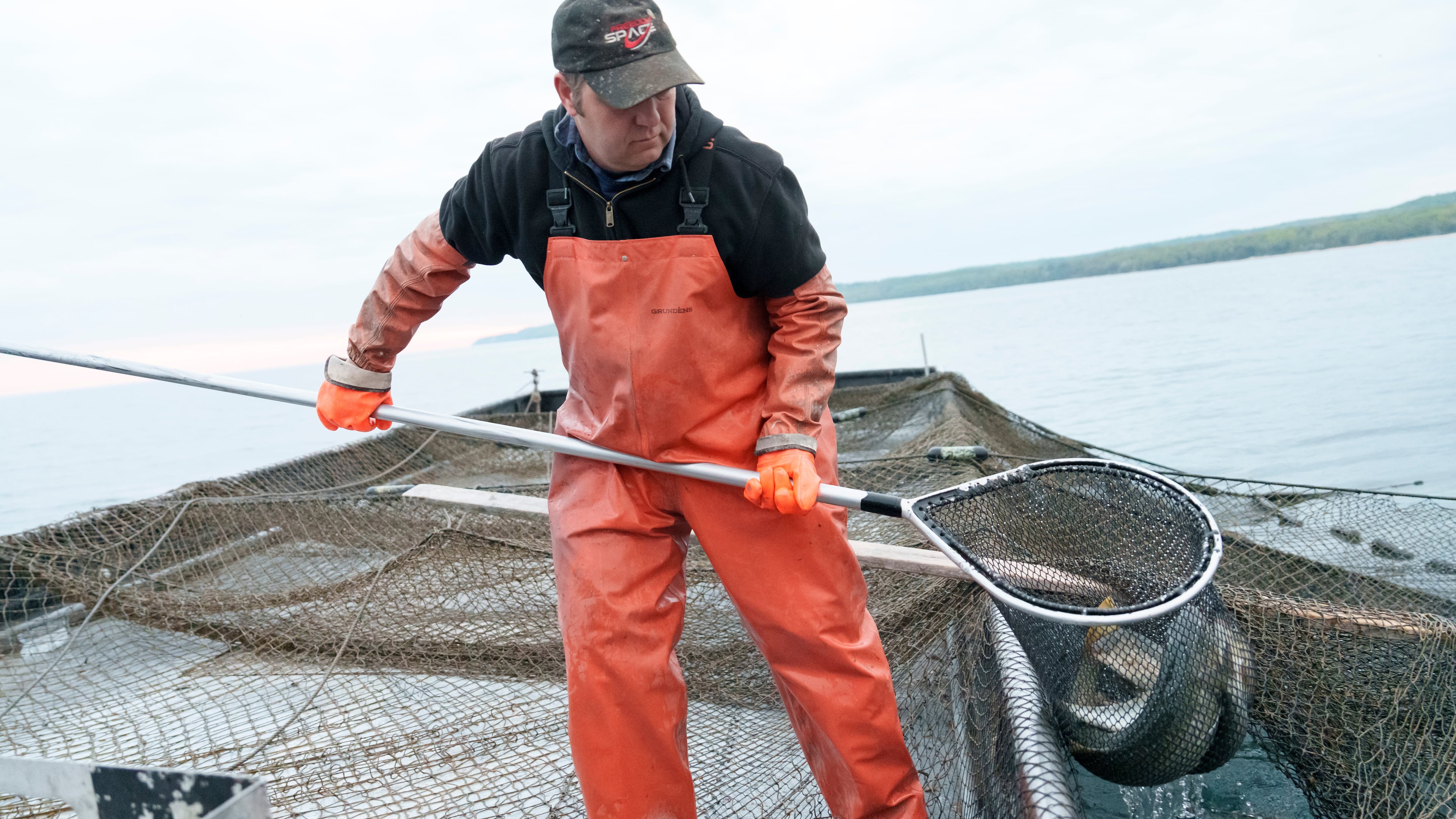 Joel Petersen carries a net of whitefish aboard a boat near Leland, Mich., 2025. (Josh Boland/Bridge Michigan via AP)