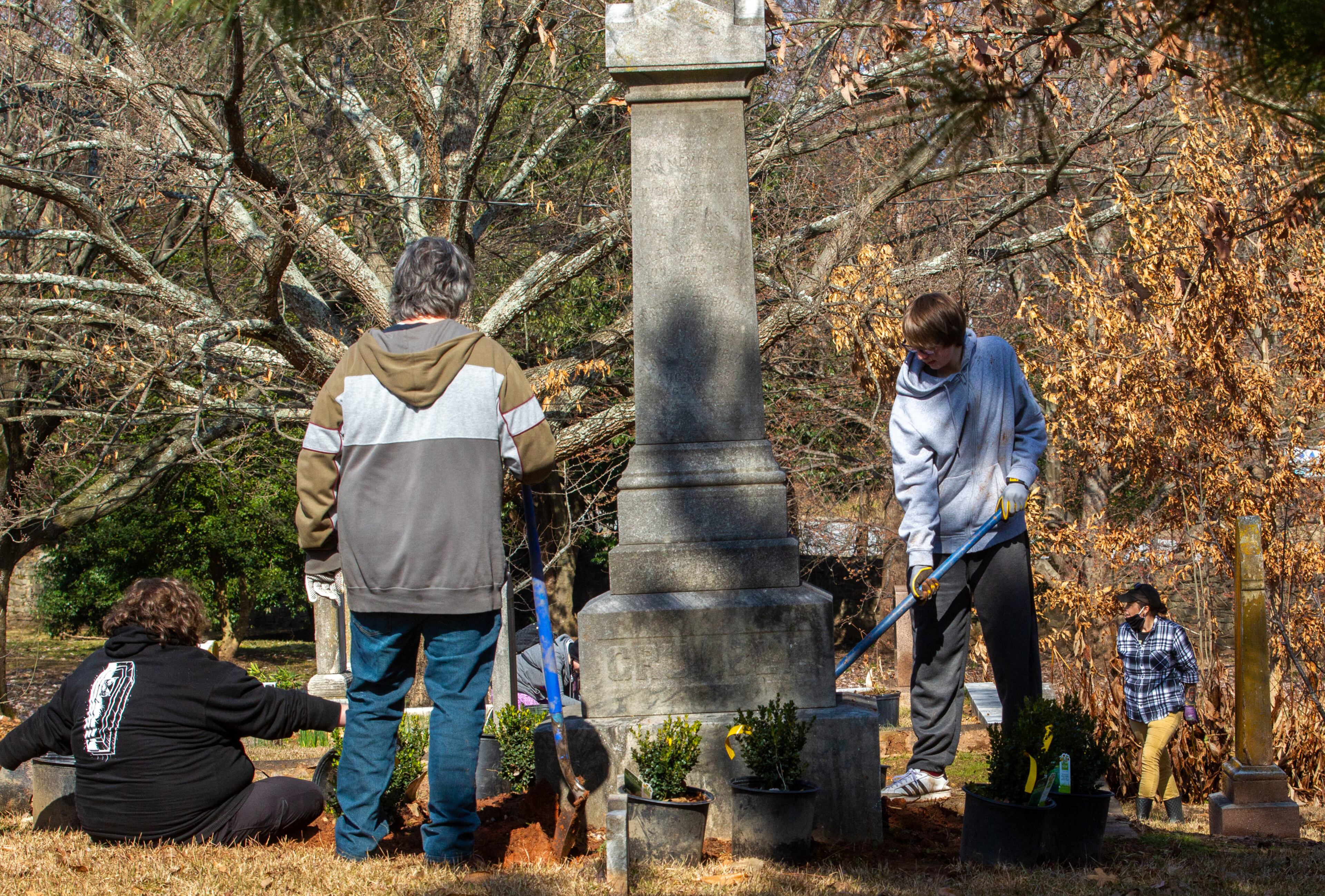 Volunteers plant "Little Missy" boxwoods around one of the tombstones in the historically African American section of Oakland Cemetery on Saturday, January 22, 2022. The event was planned Monday to commemorate the Martin Luther King Jr. National Day of Service but was postponed because of the holiday weekend's winter storm. (Photo by Steve Schaefer for The Atlanta Journal-Constitution)