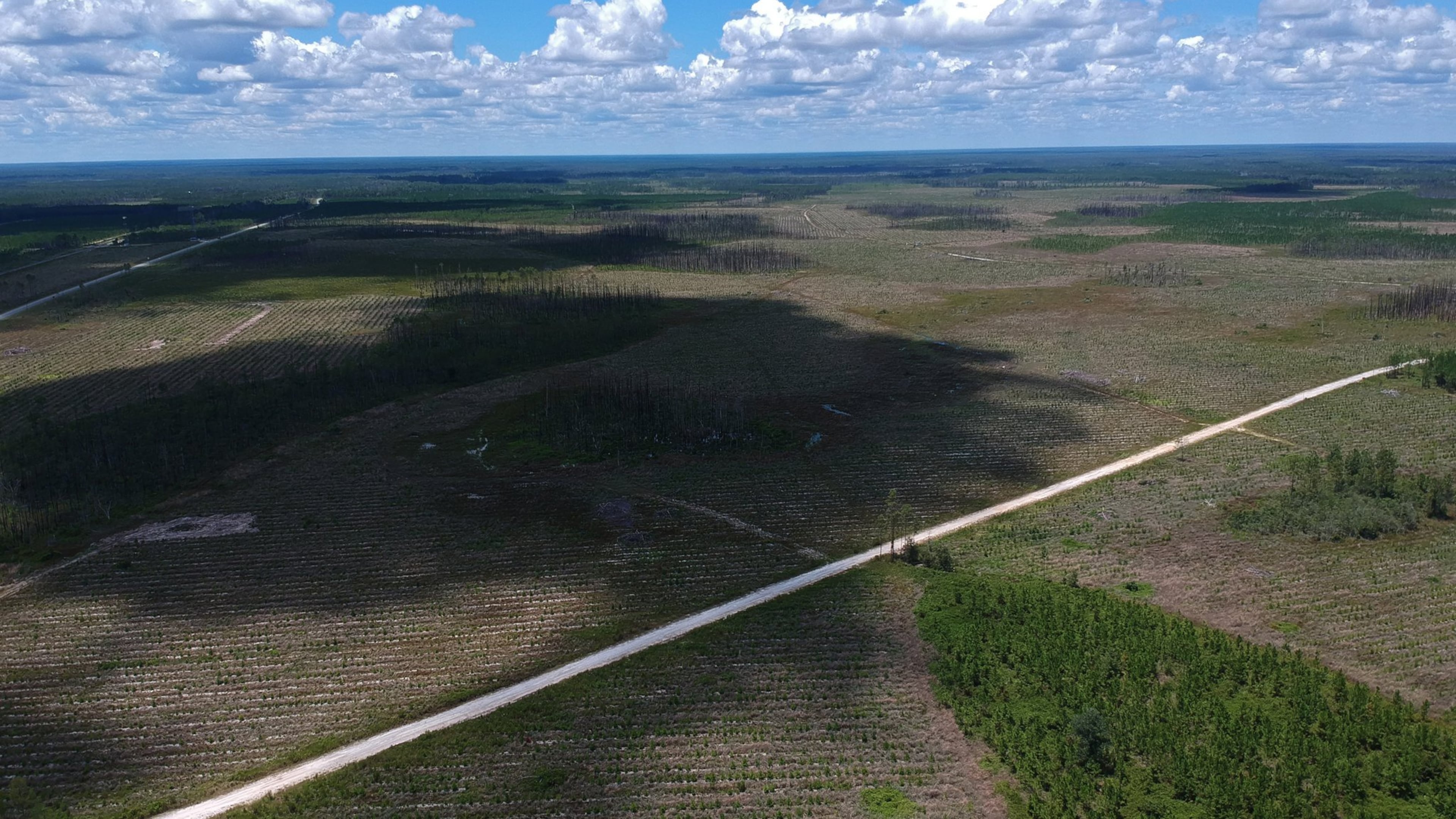 Twin Pines Minerals plans to mine in phases along Trail Ridge. Aerial photography shows the proposed mining site located north of Ga. 94 (left) and the southeastern edge of the Okefenokee Swamp (right) in Saint George. HYOSUB SHIN / HYOSUB.SHIN@AJC.COM